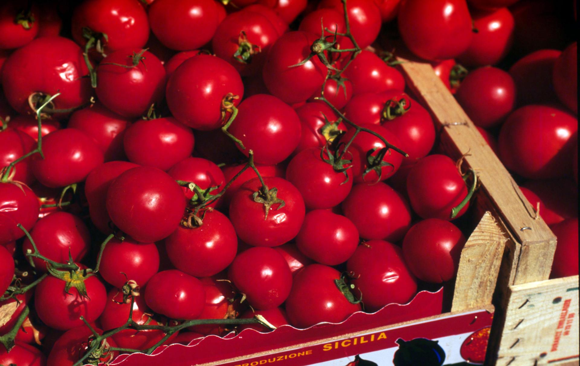 Tomaten in een kist