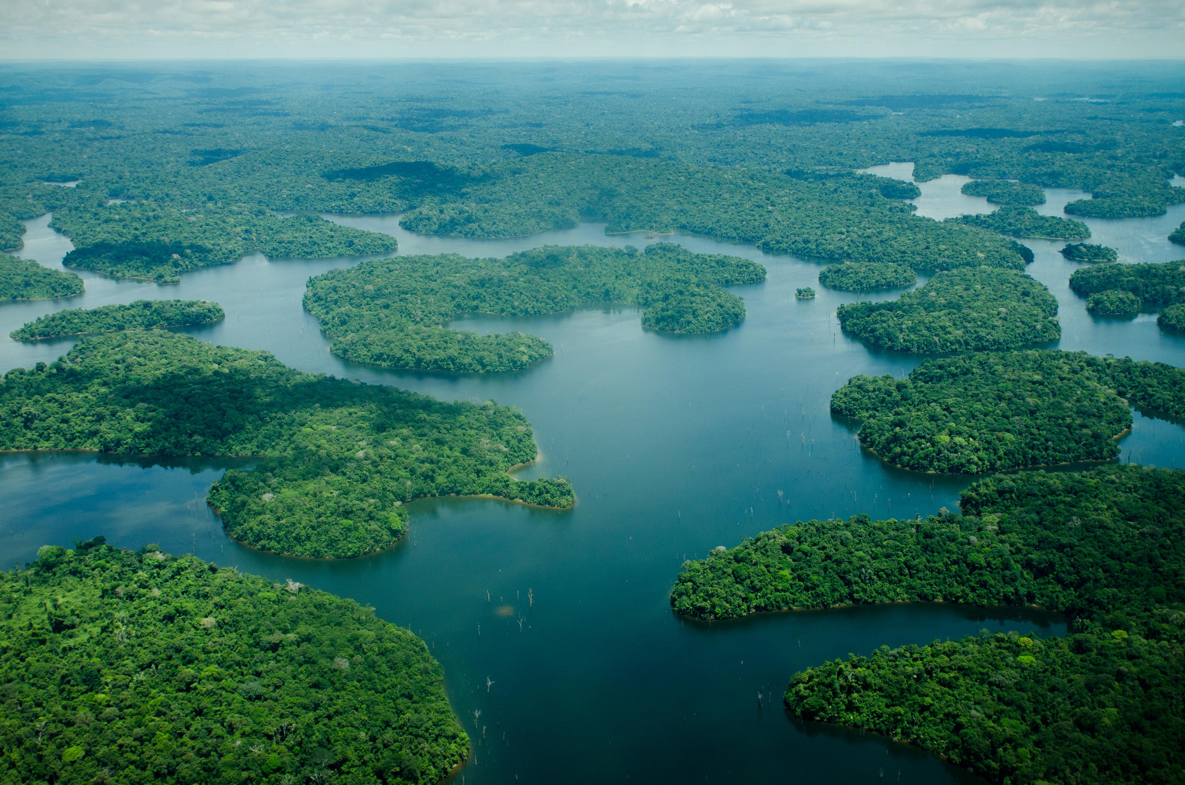 Een luchtfoto van het biologische reservaat Uatumã