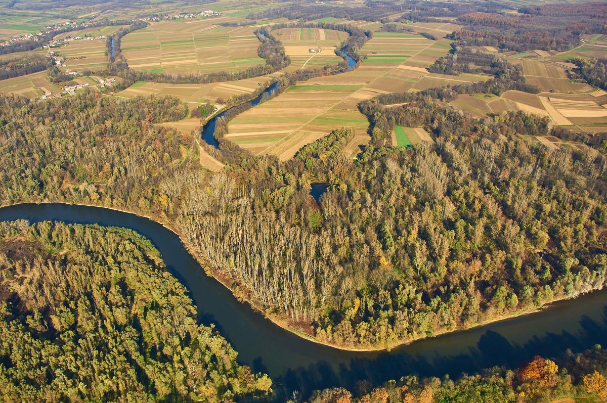 Rivier stroomt langs bossen, Mura, ook wel Amazone van Europa genoemd