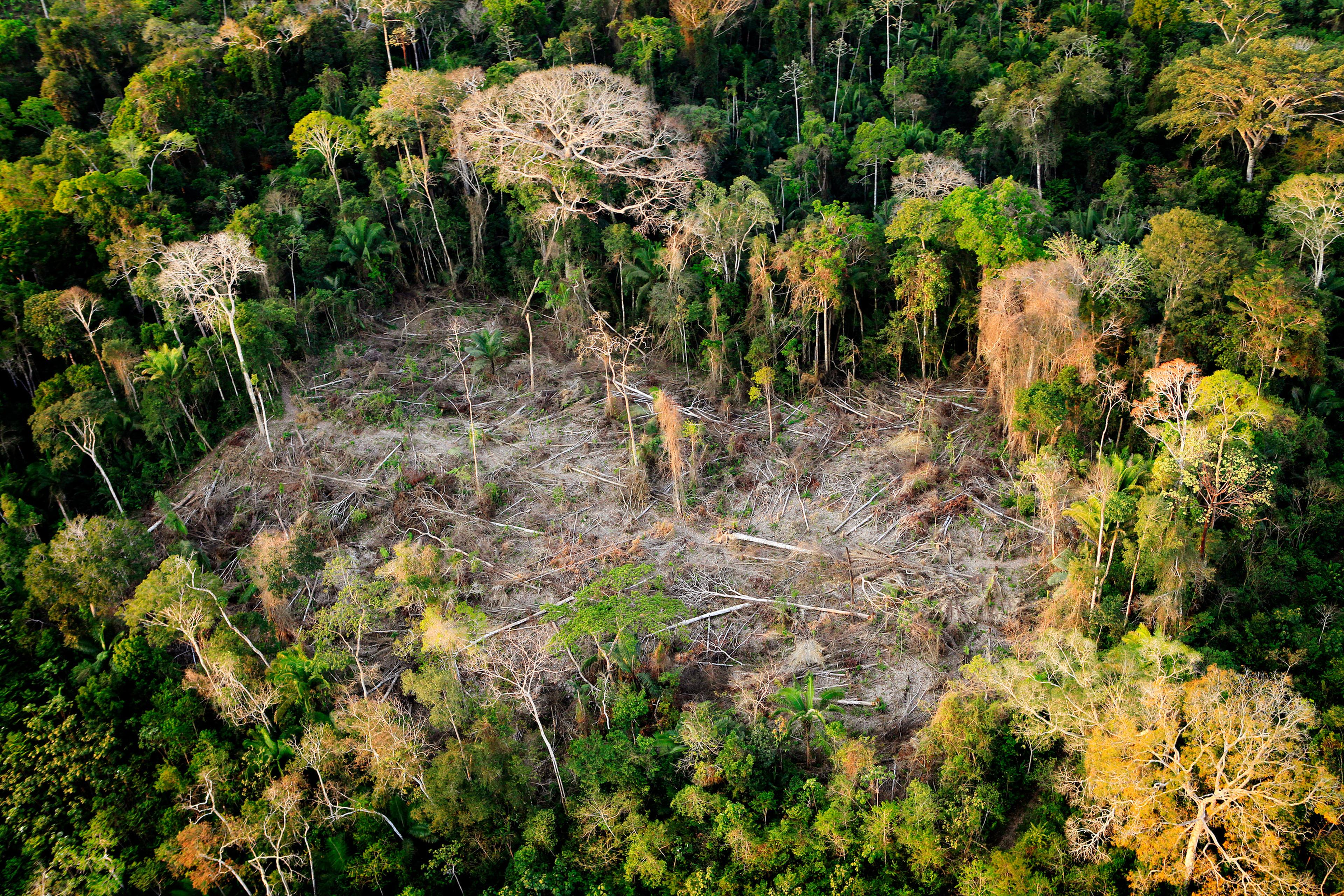 Luchtfoto van ontbossing in het Amazone-regenwoud in Brazilië