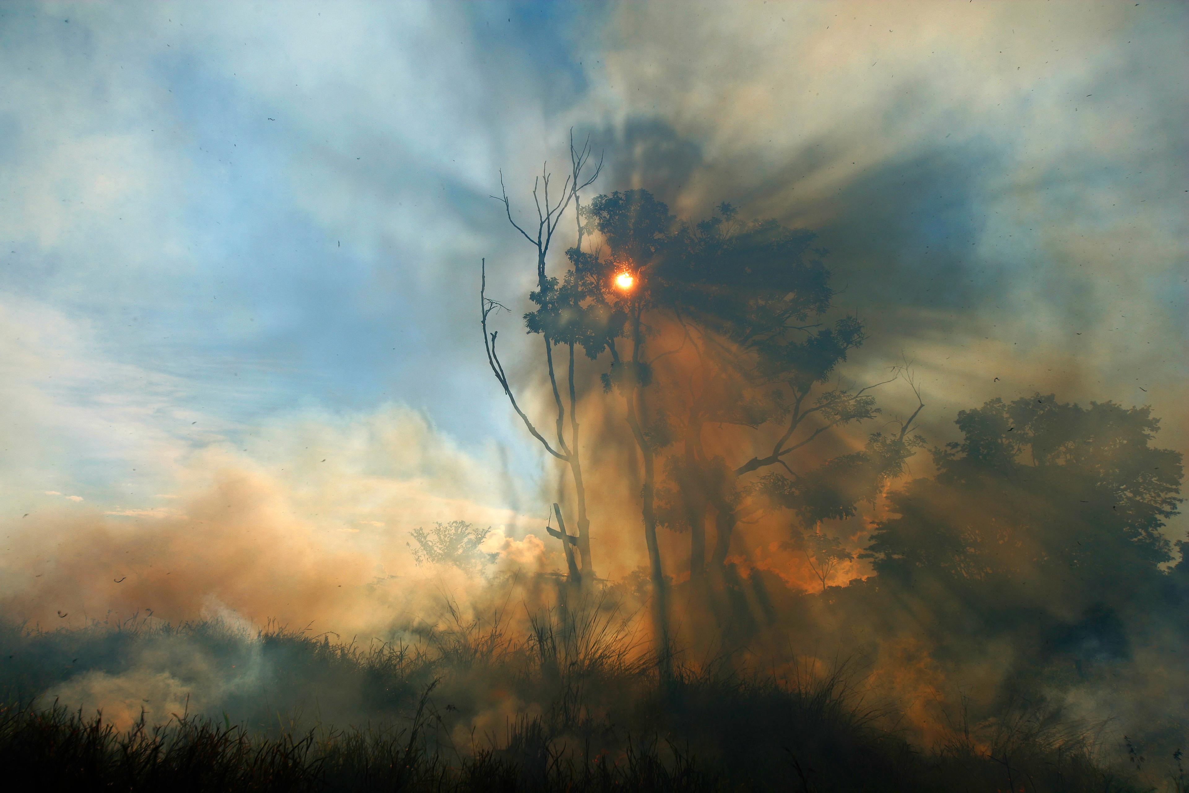 Rook tijdens bosbrand Amazone