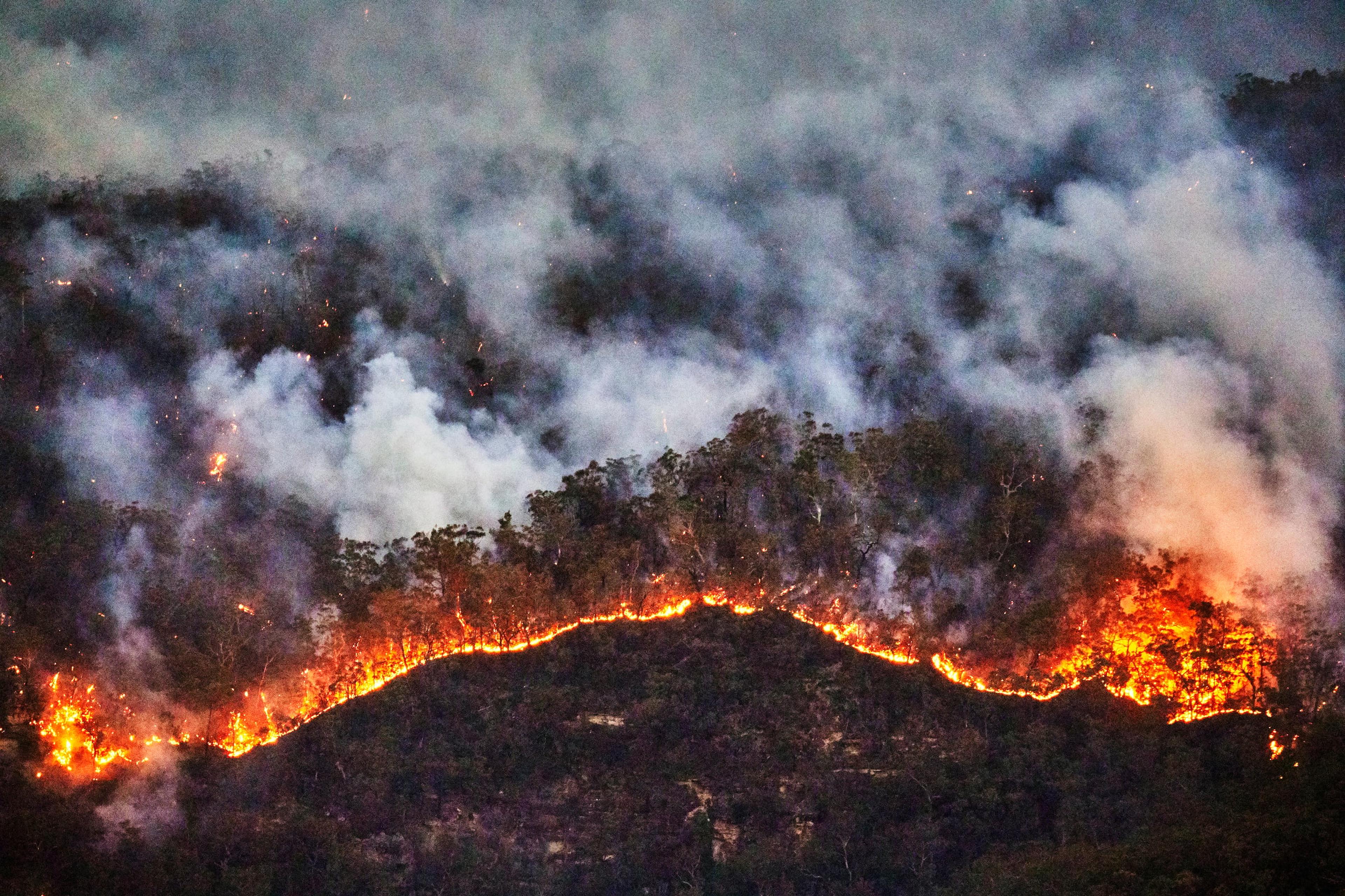 Bosbrand Australië