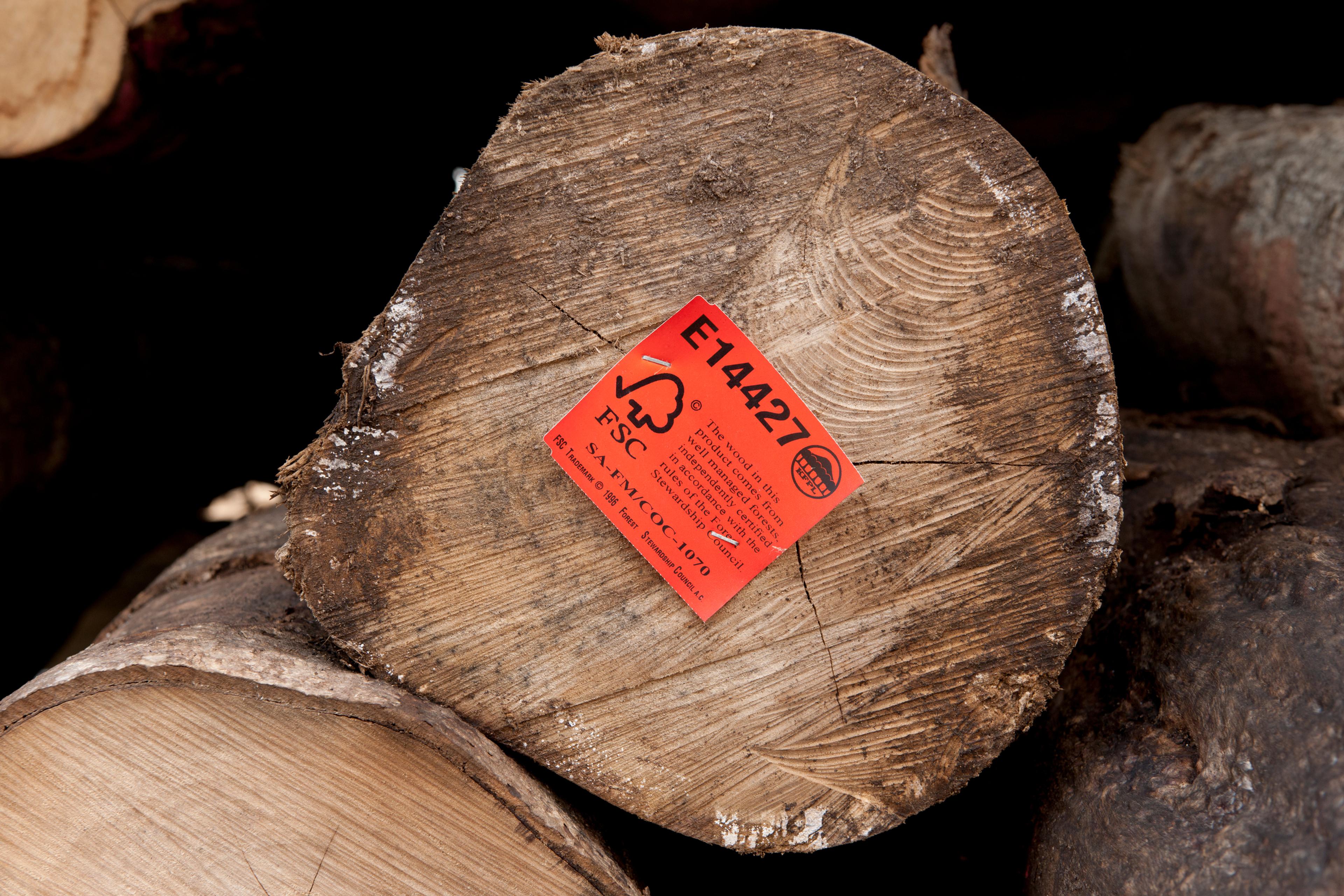 boomstam met rood papier met fsc logo erop