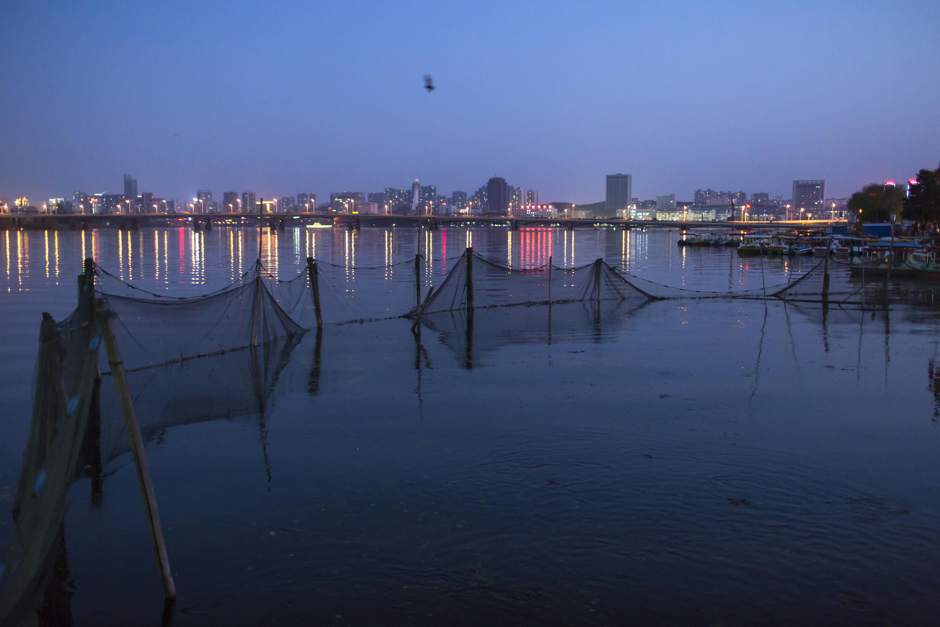 Visnetten in water in de avond