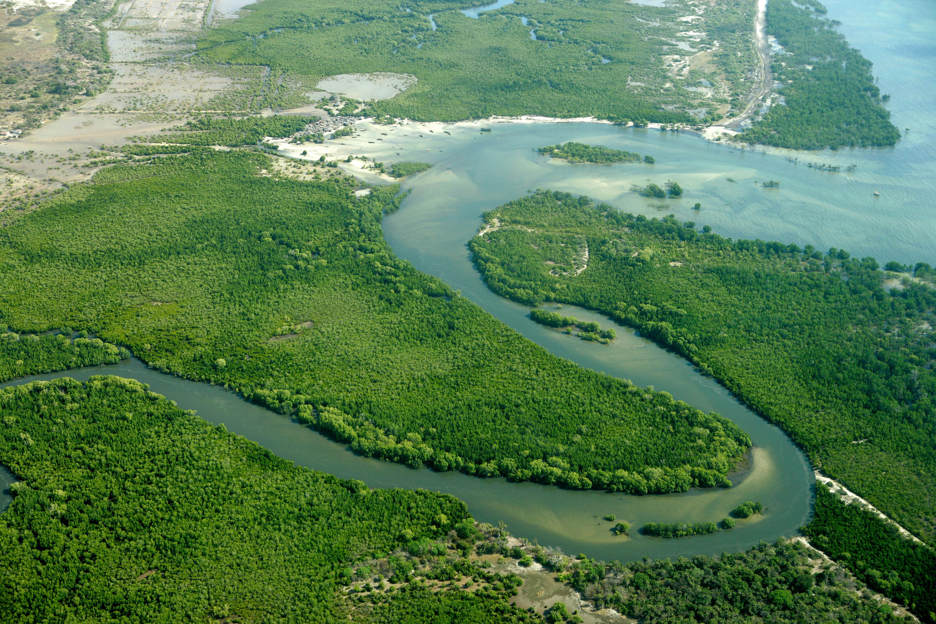 Luchtfoto van de Rufiji-delta