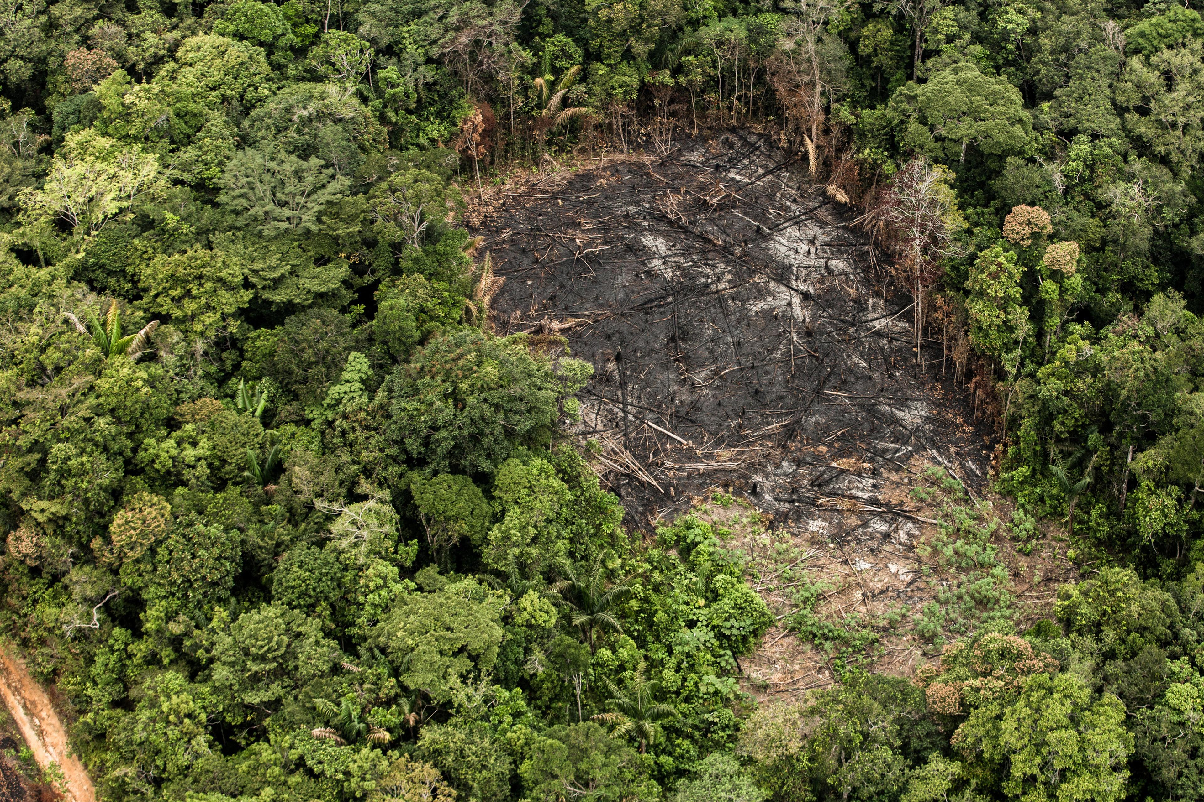 Stuk verbrand bos in Colombia vanuit de lucht