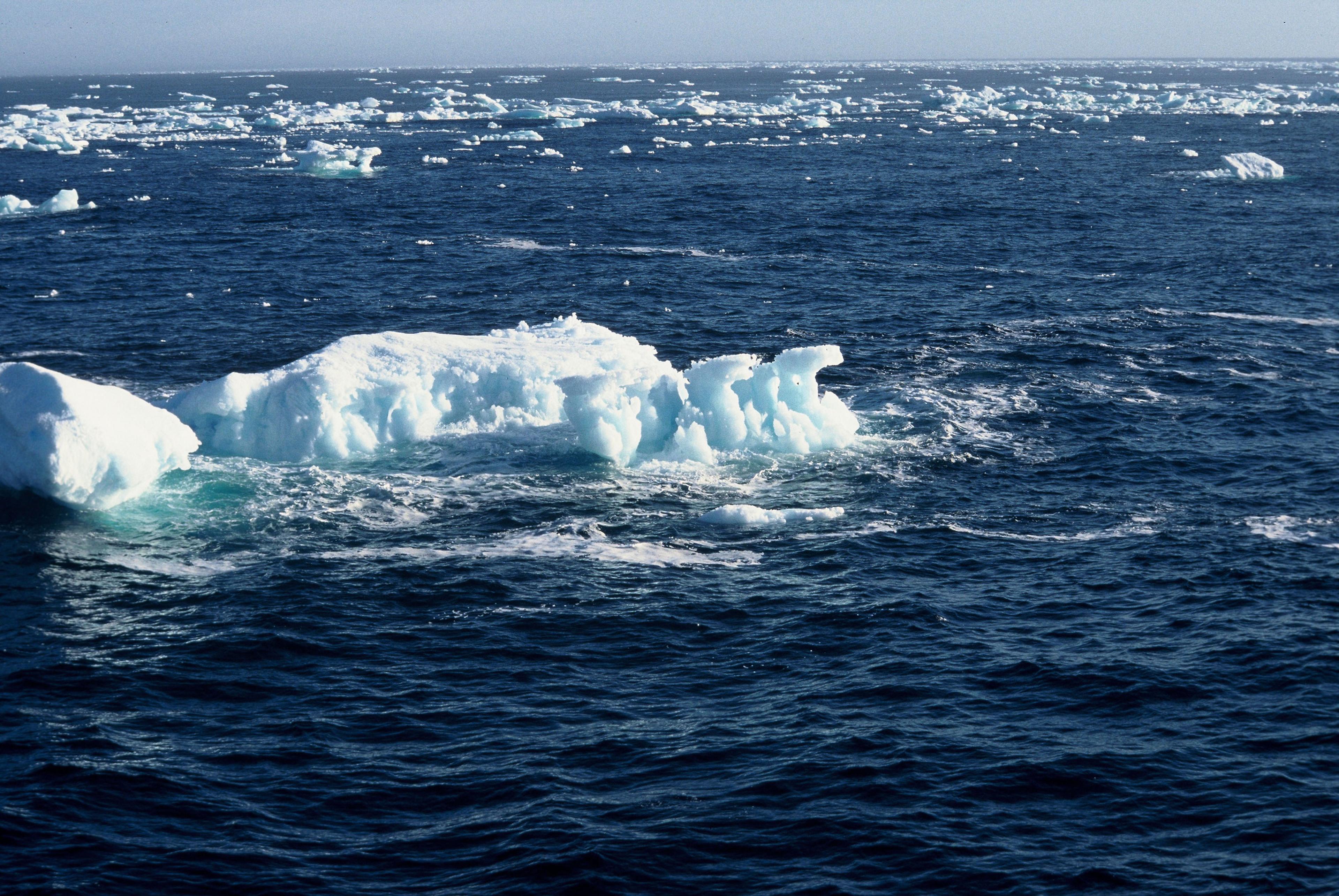 Drijvende blokken ijs in Antarctische Oceaan