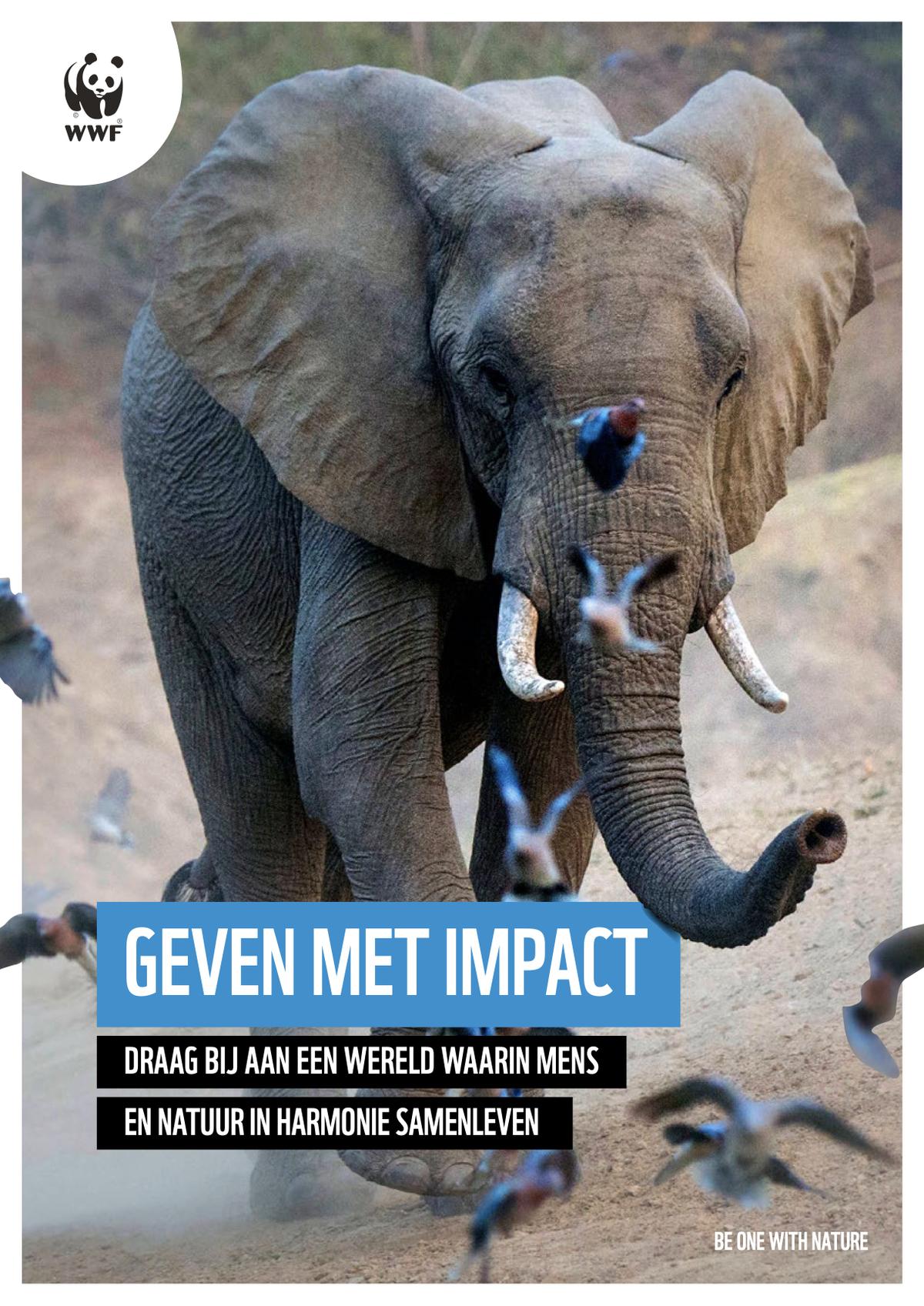 De voorkant van de brochure Geven met Impact