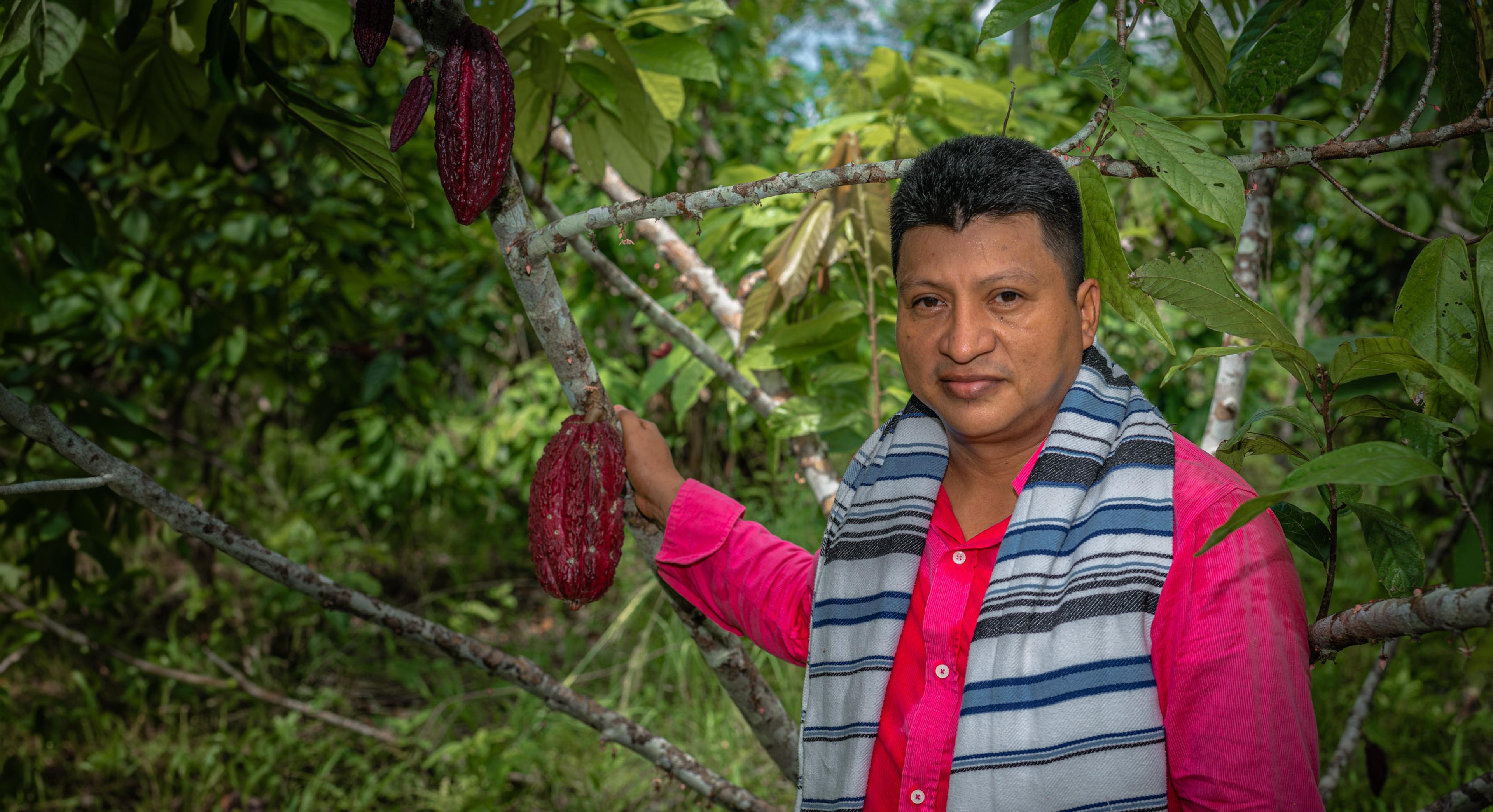 Van coca naar cacao
