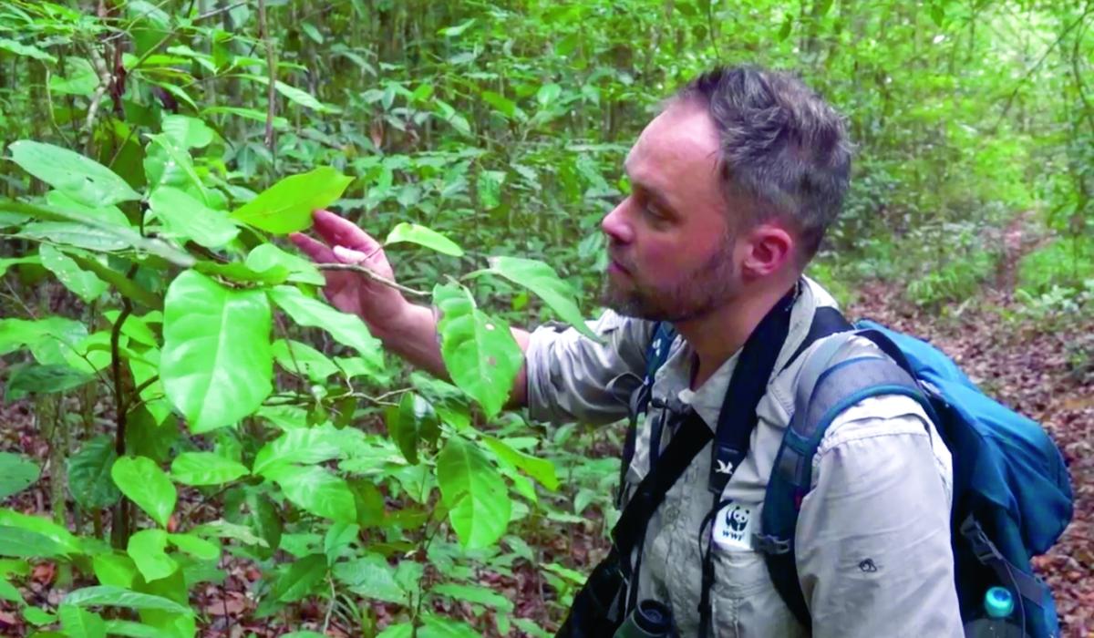 Natuurbeschermer van WWF