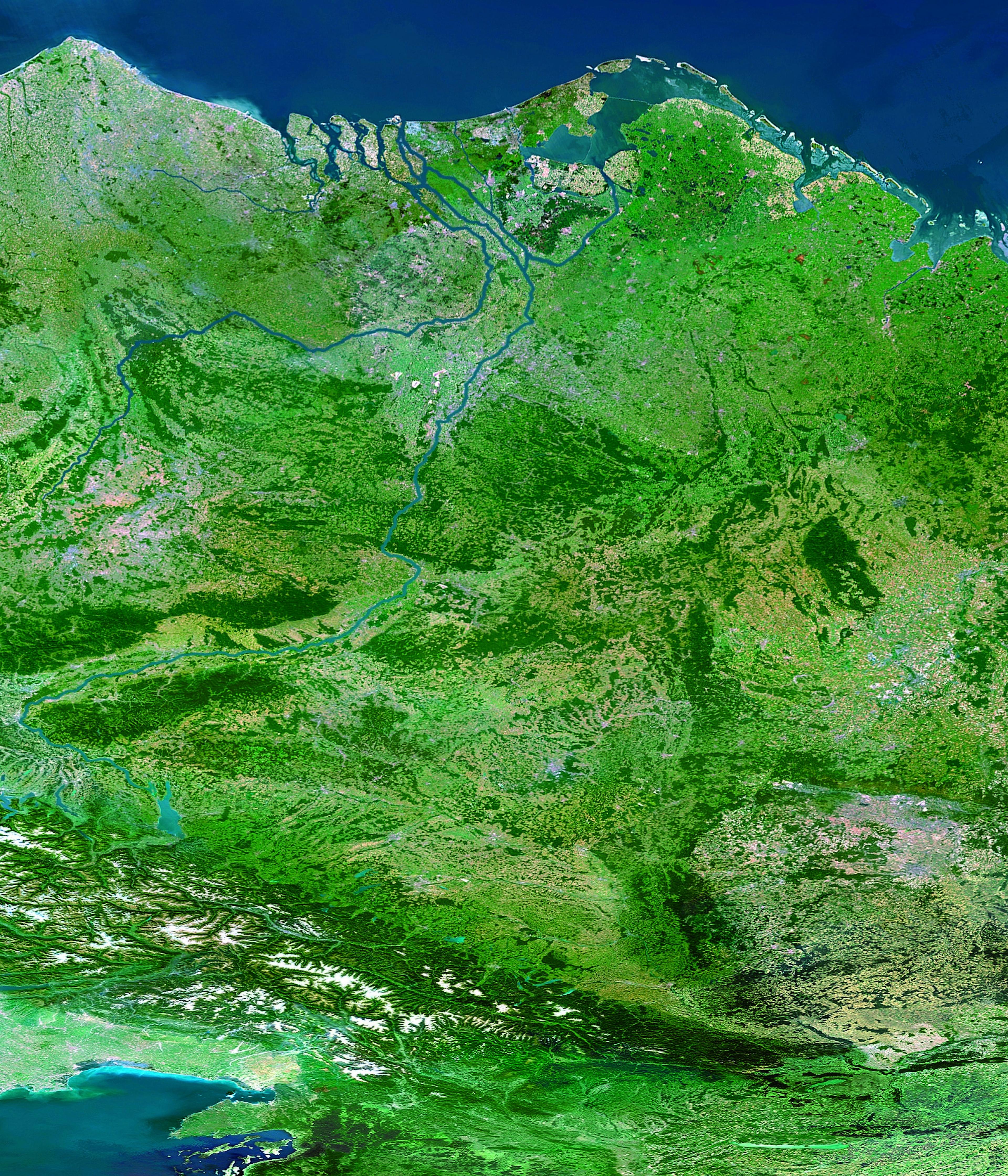 Nederlandse delta