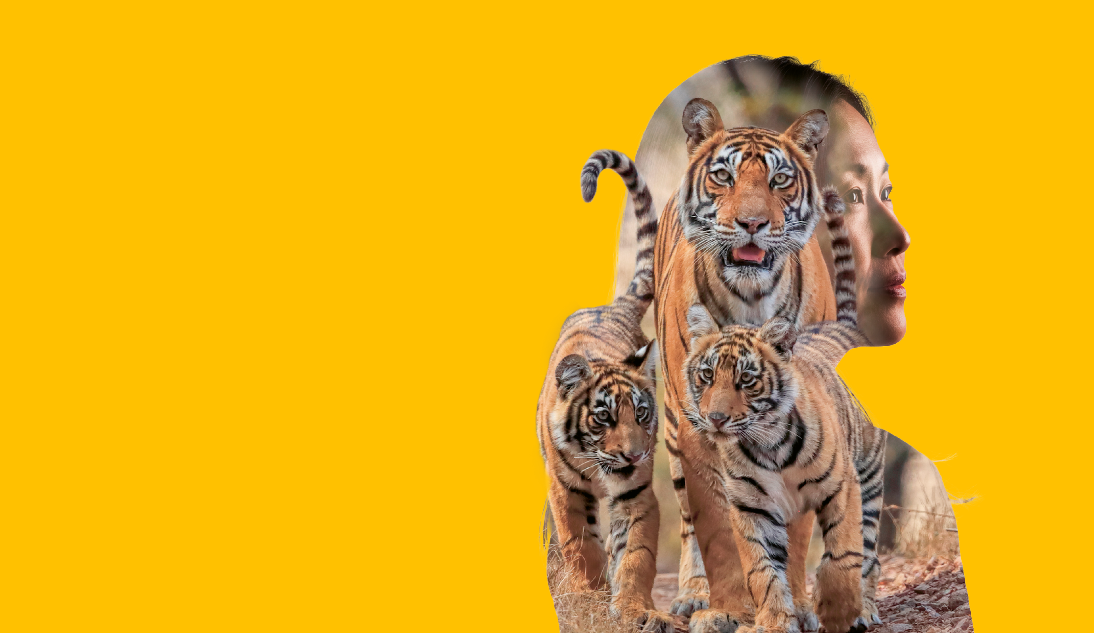 De cover van het WWF-magazine Be one with nature - editie oktober 2026 - zonder tekst