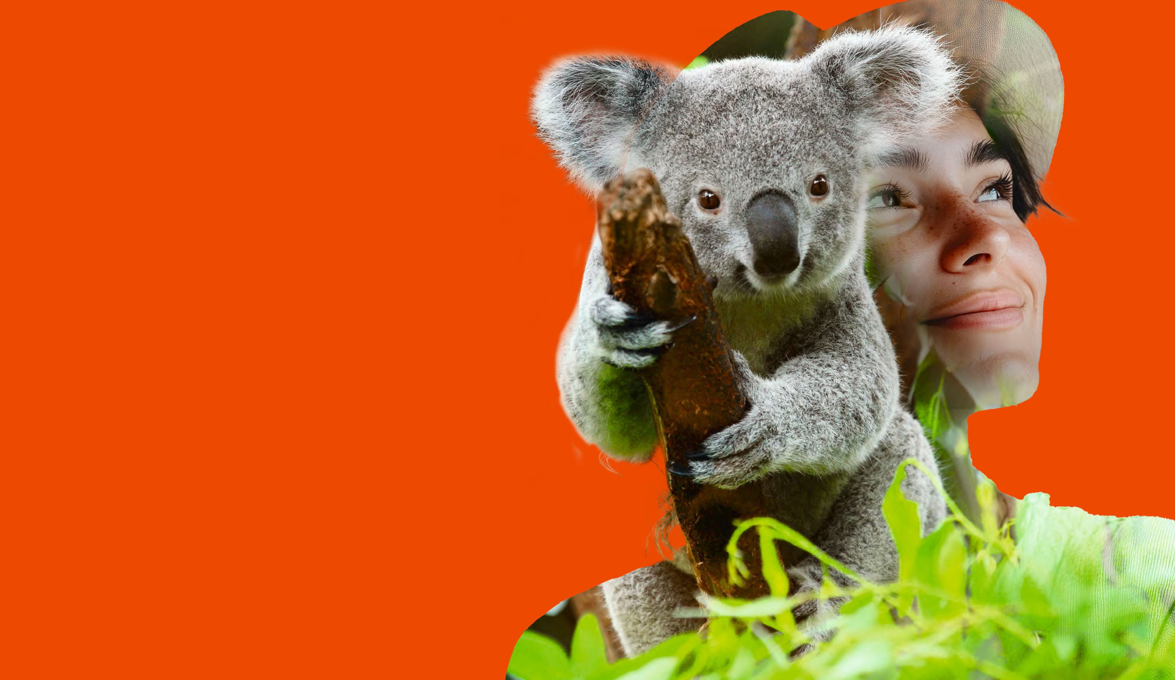 Header Be one with nature magazine WWF 2025-02