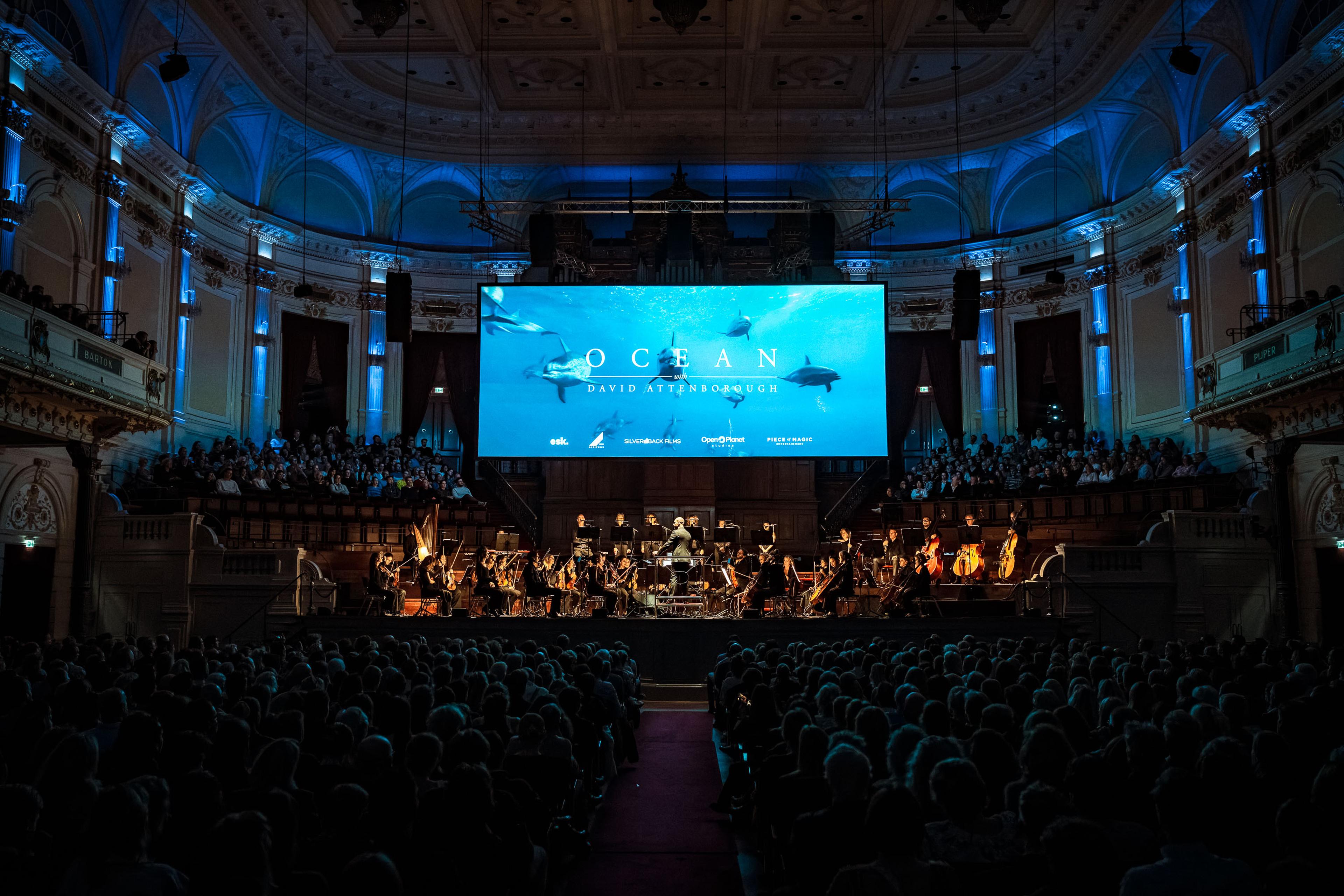 Ocean in Concert