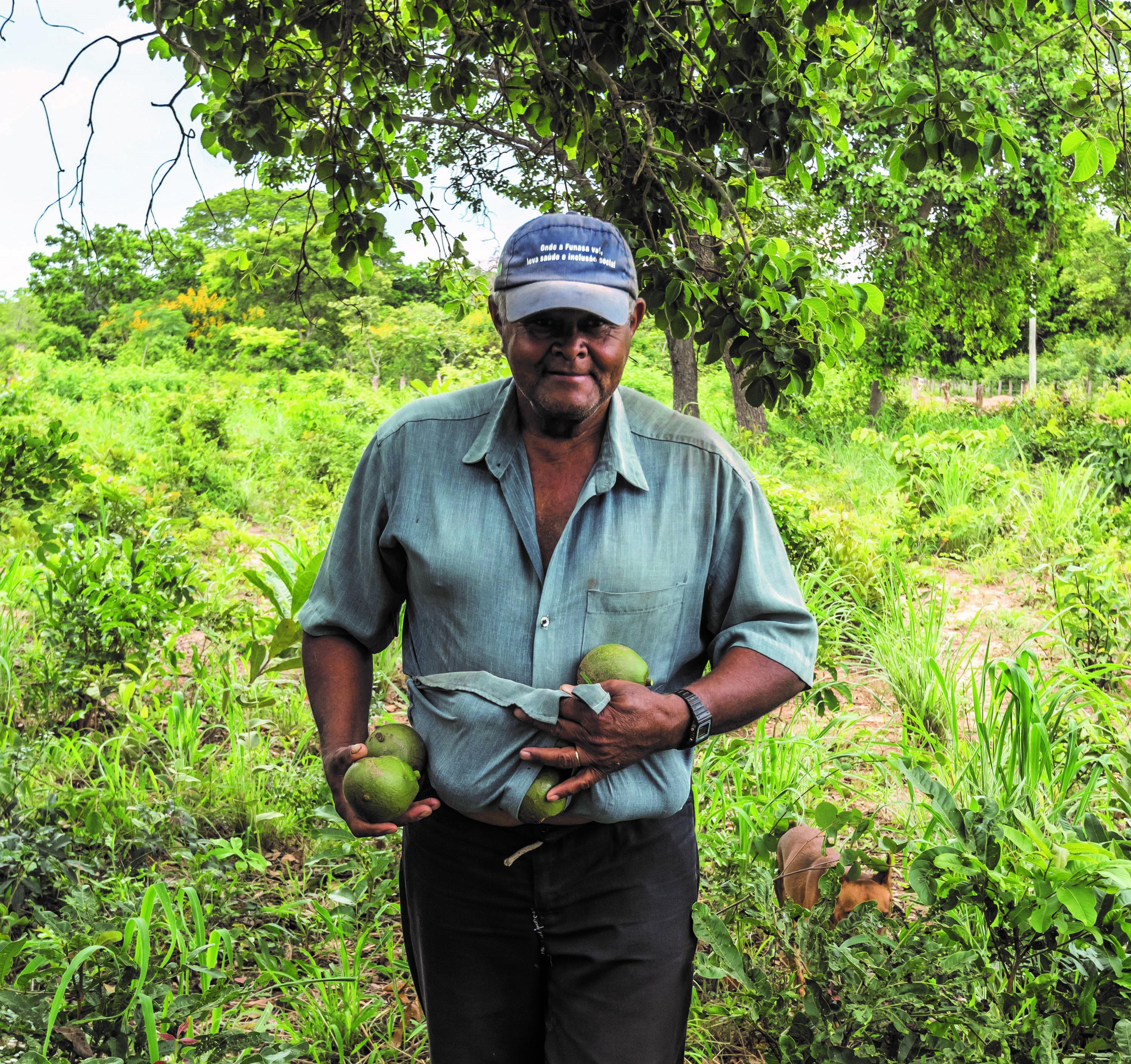 Man fruit Cerrado