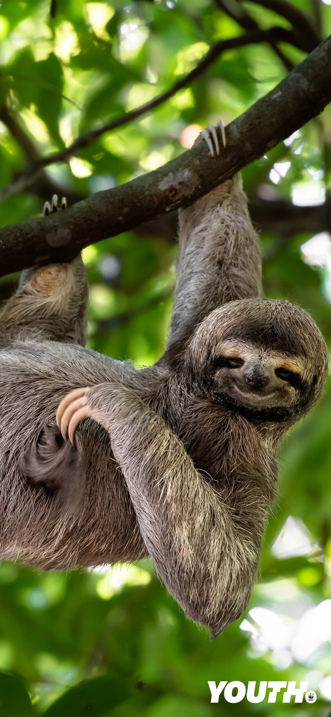 WWF_Youth_Wallpaper_Mobiel_4.jpg