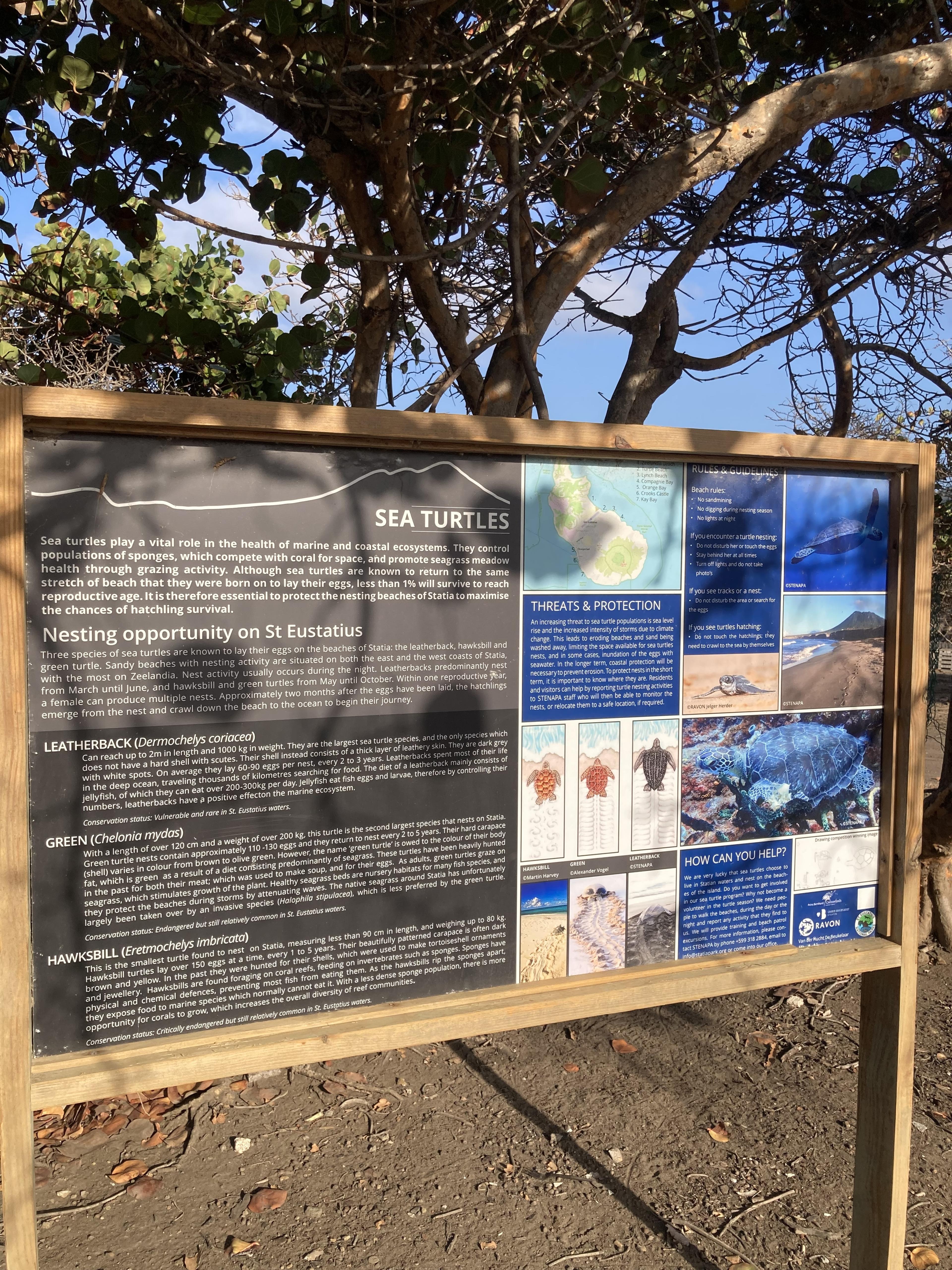 Informatiebord op St. Eustatius over zeeschildpadden