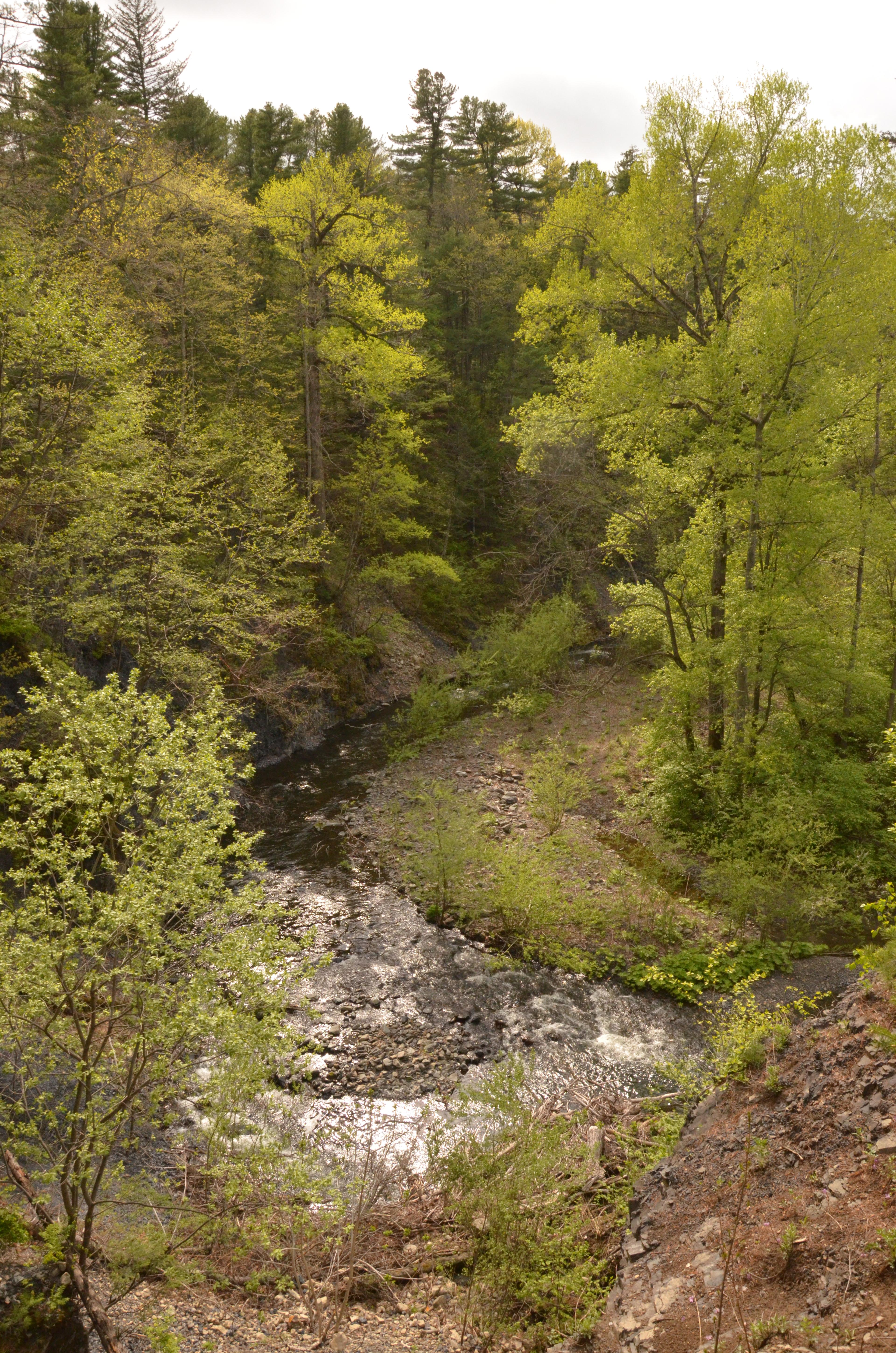 Landschap Amoer Heilong