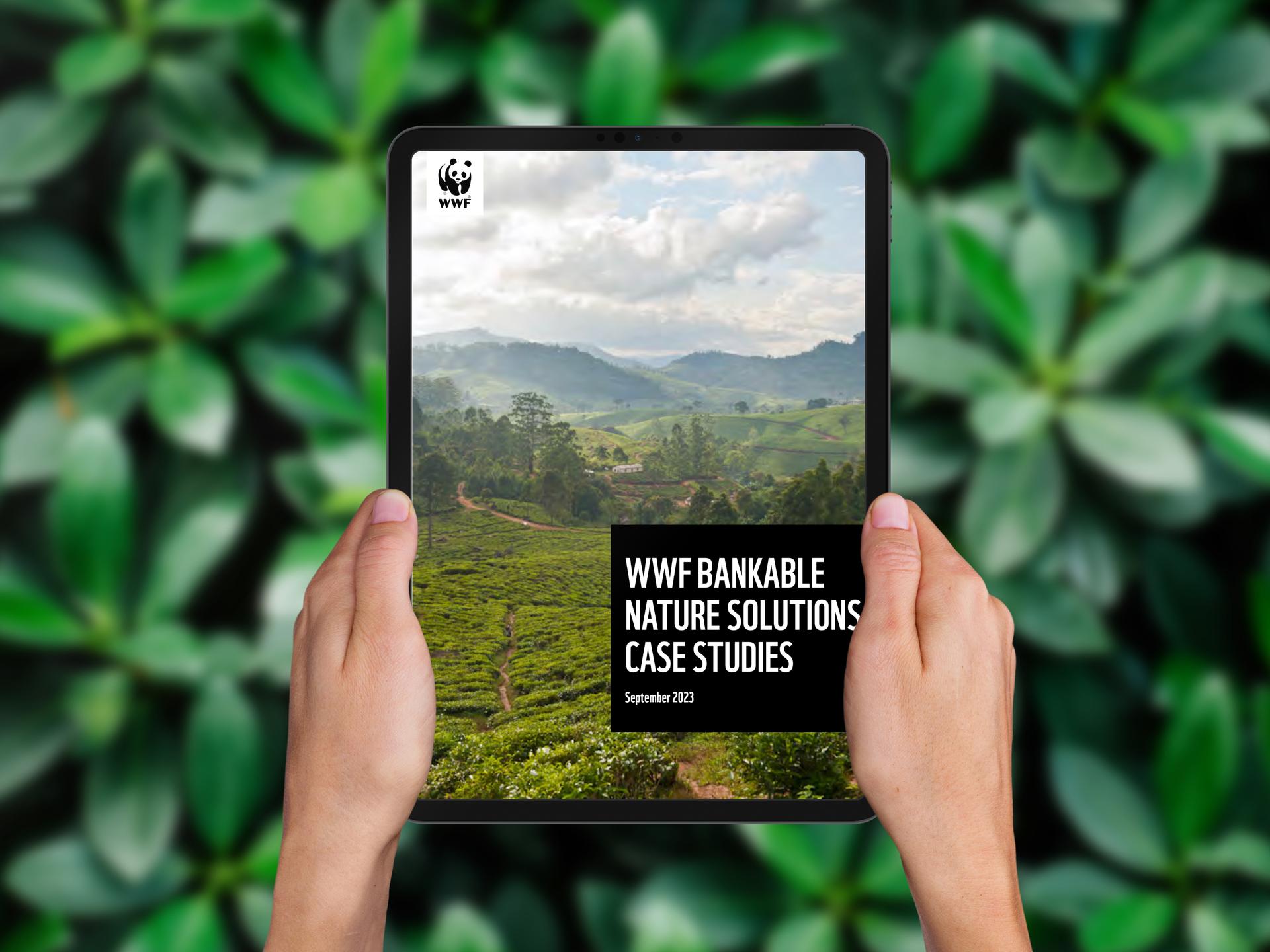 De cover van het Bankable Nature Solutions rapport op een iPad