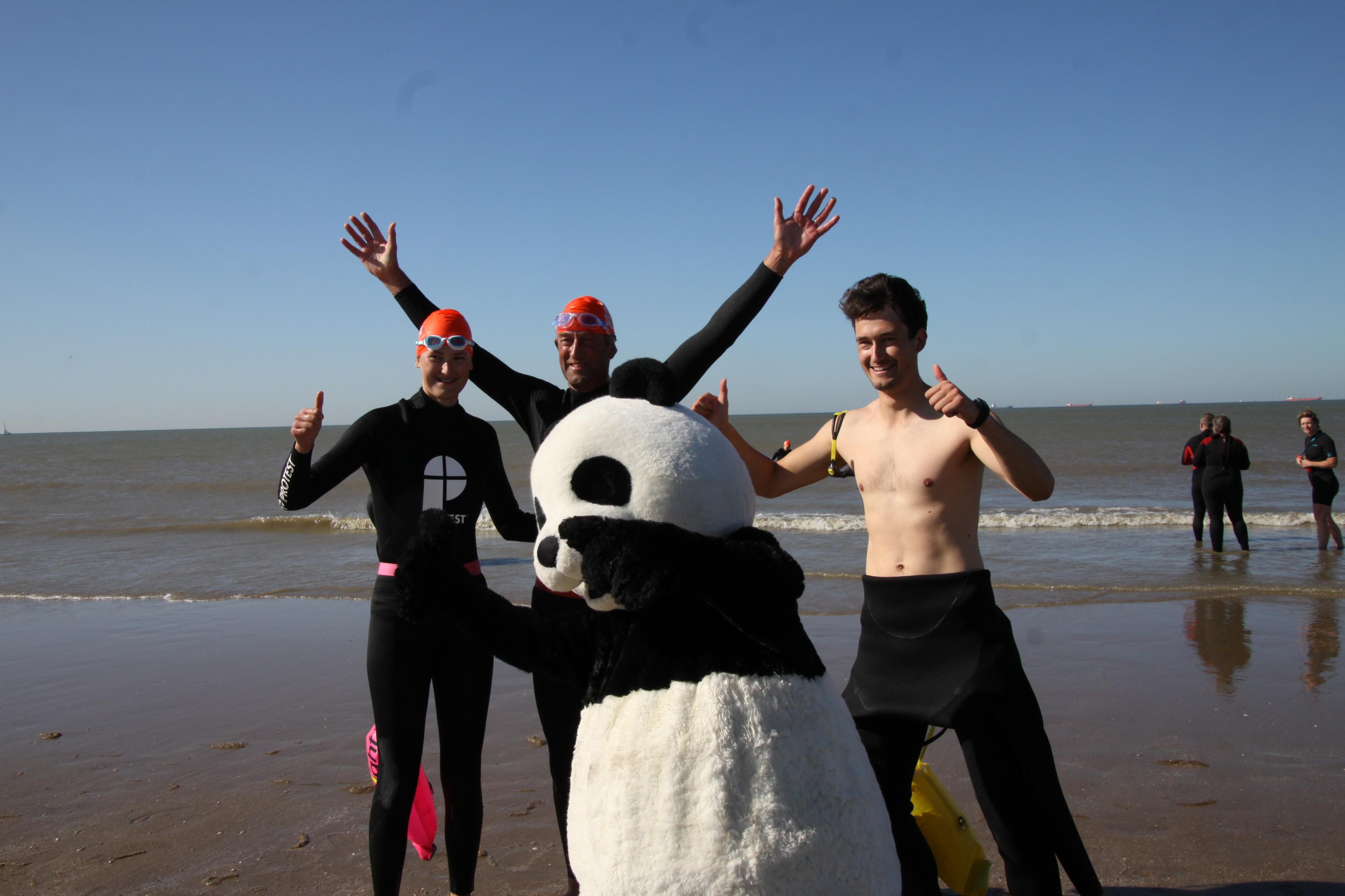 Met panda