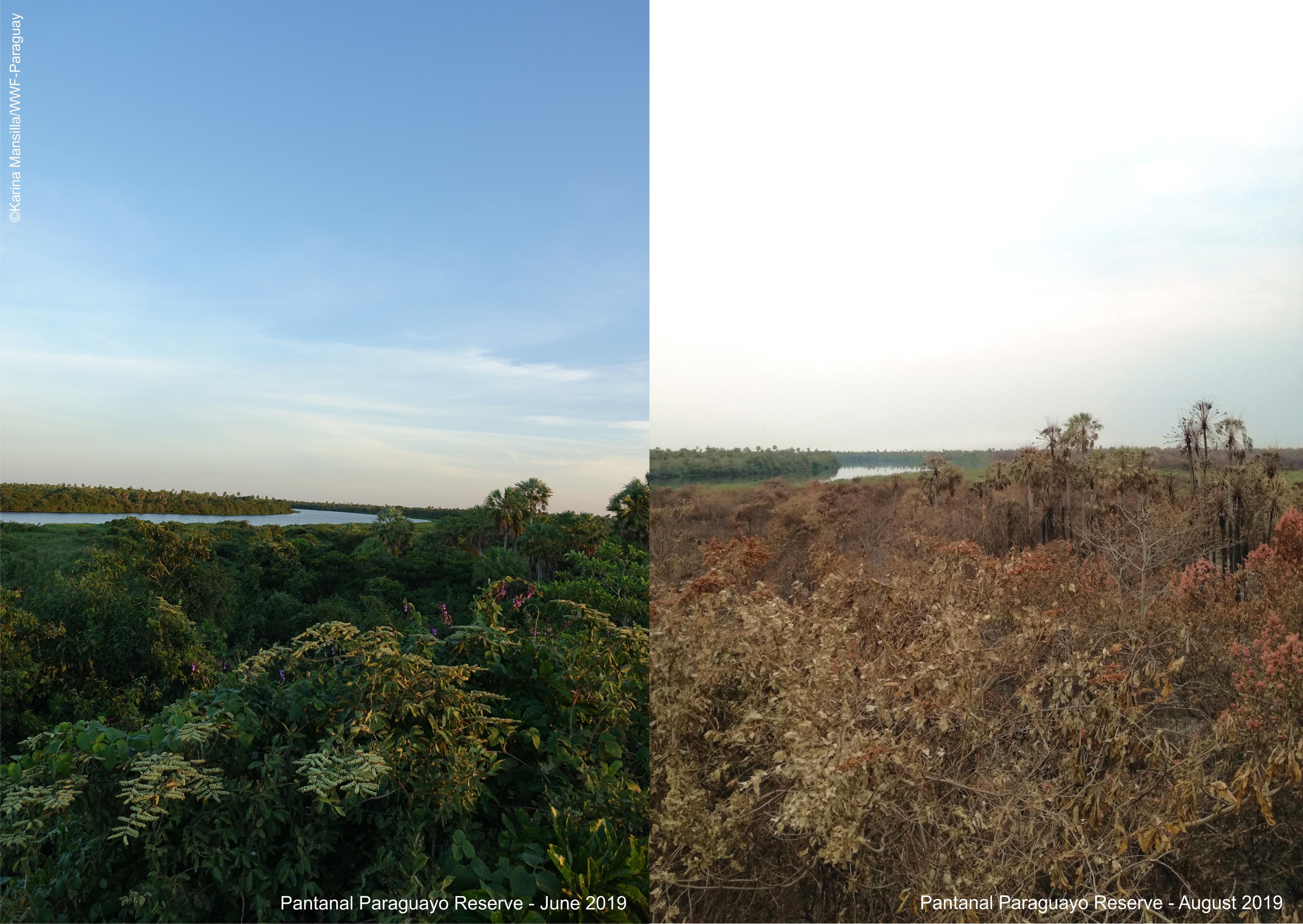 Voor en na foto van het Pantanal Paraguay Reservaat