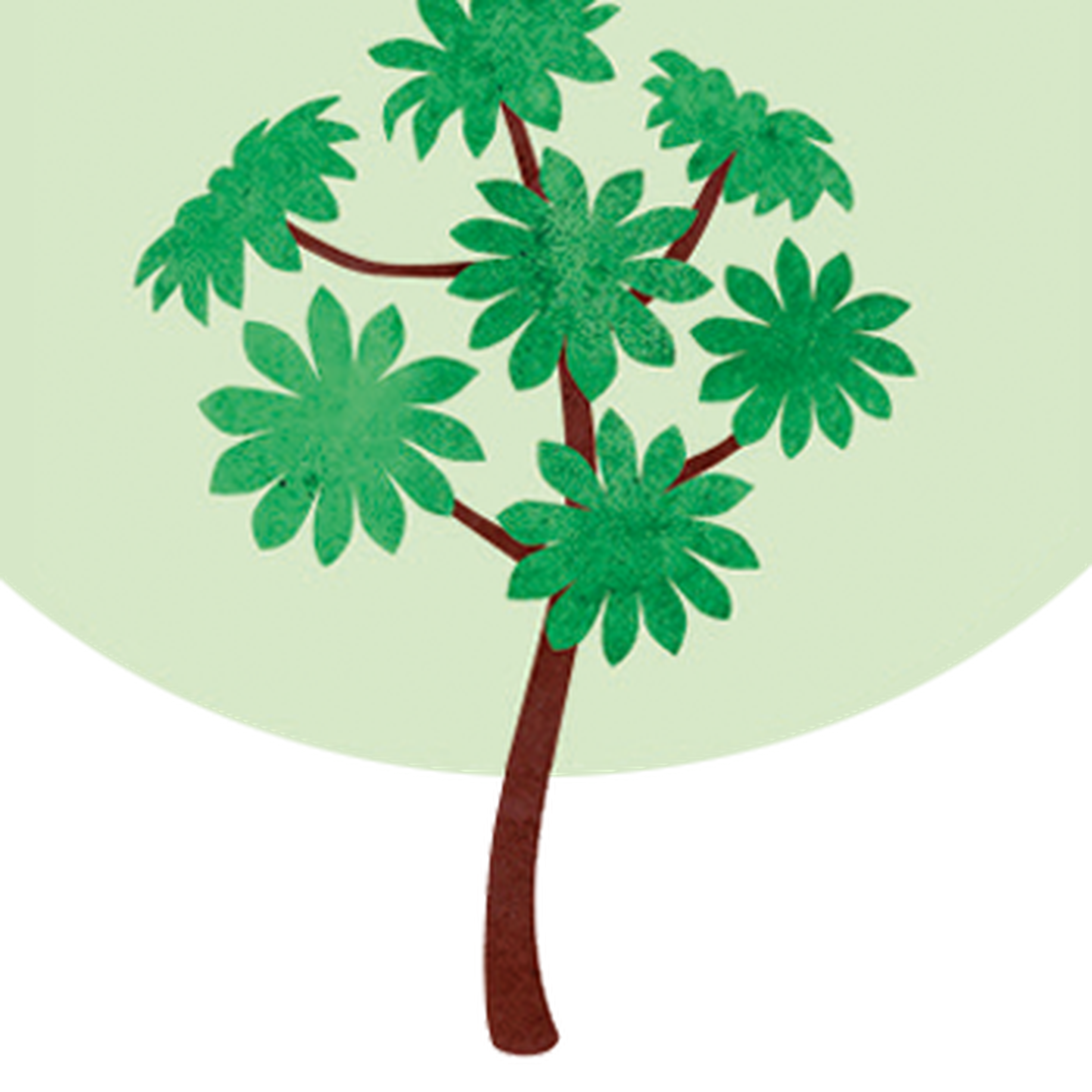 Cecropia Segenis