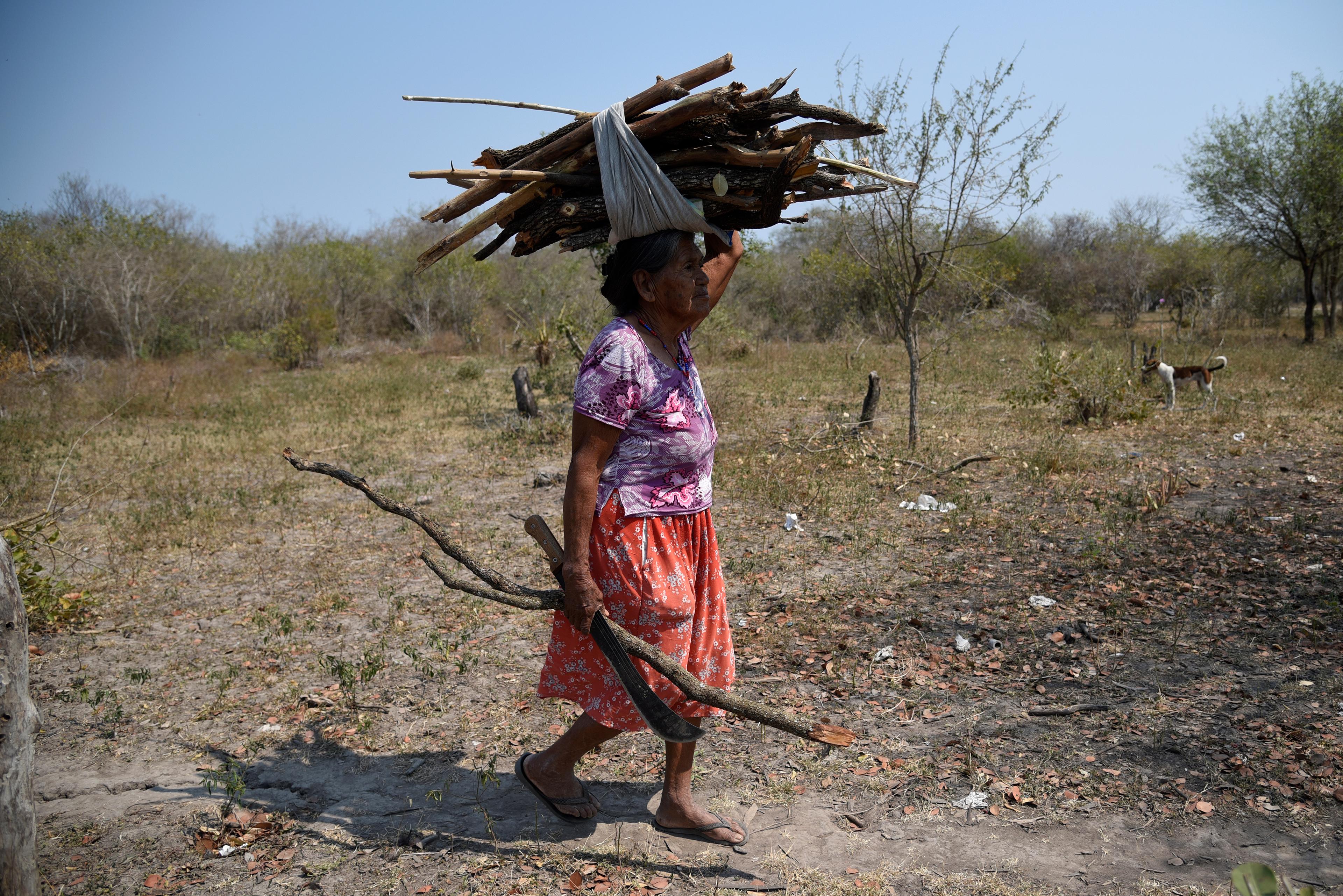 Oudere vrouw draagt hout, Pantanal