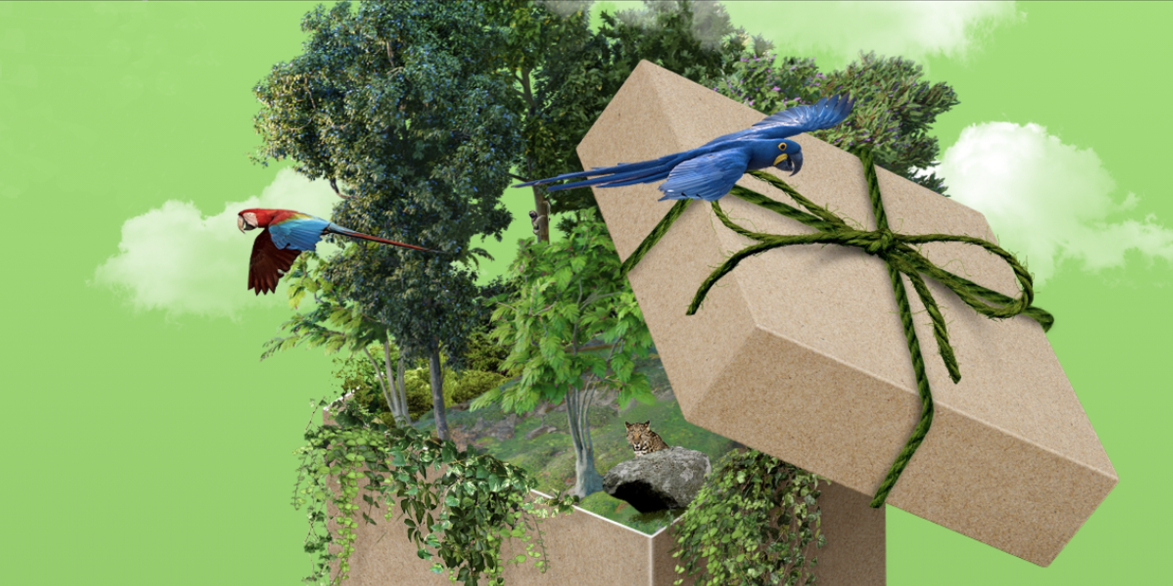 vogels vliegen uit een kartonnen doos