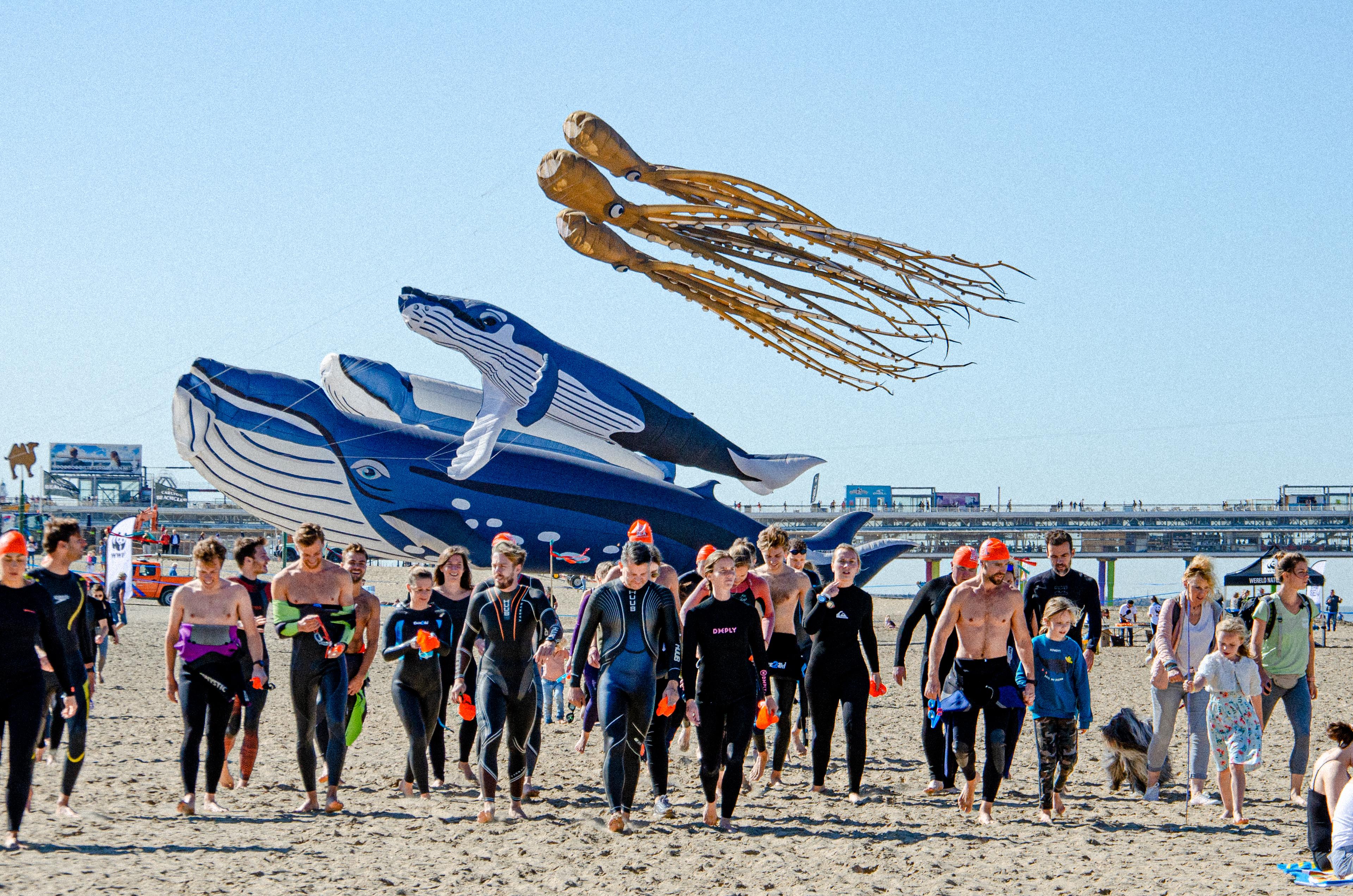 WWF-SeaSwim Scheveningen