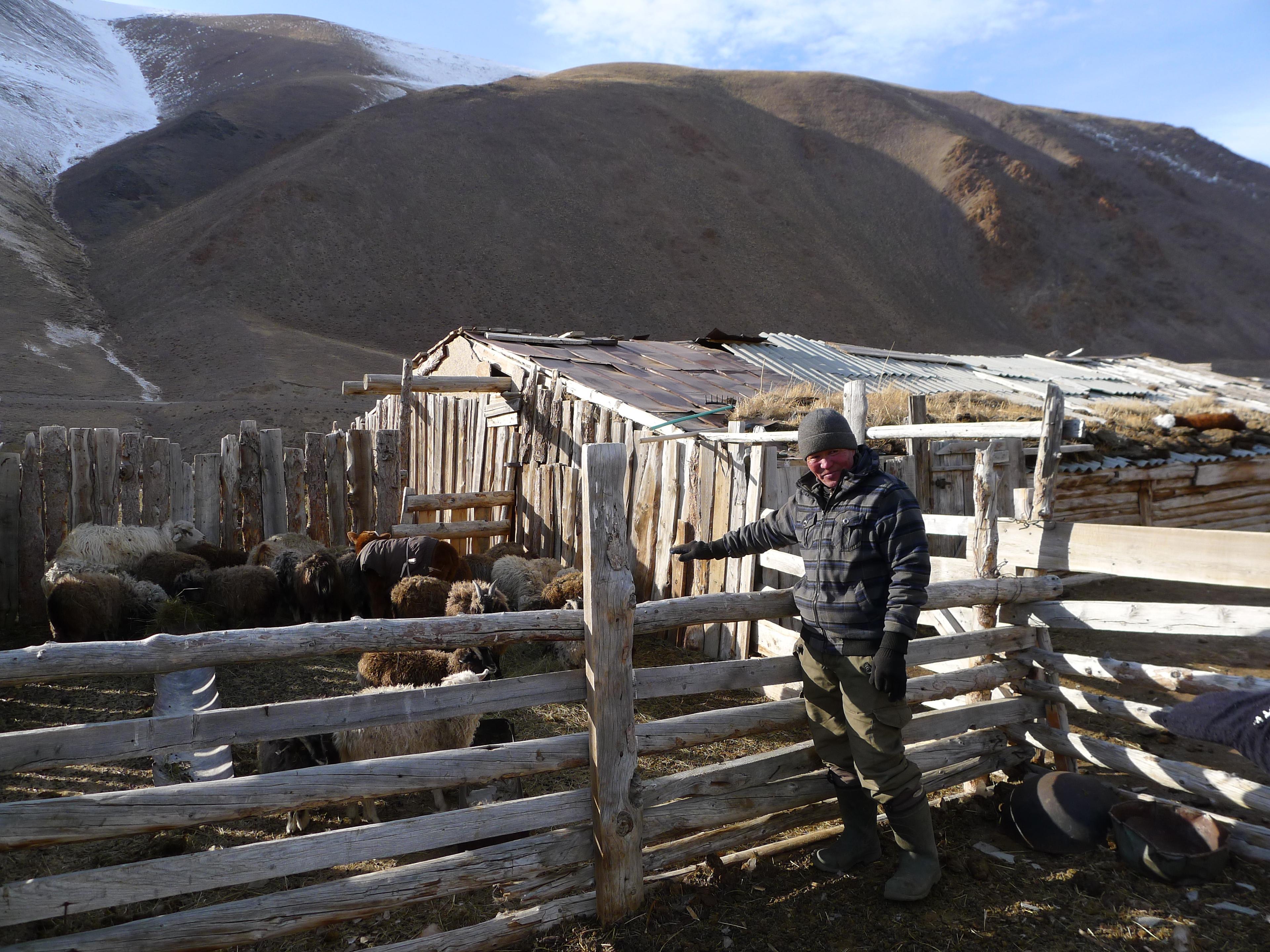 vee bewoners Altai-Sayan