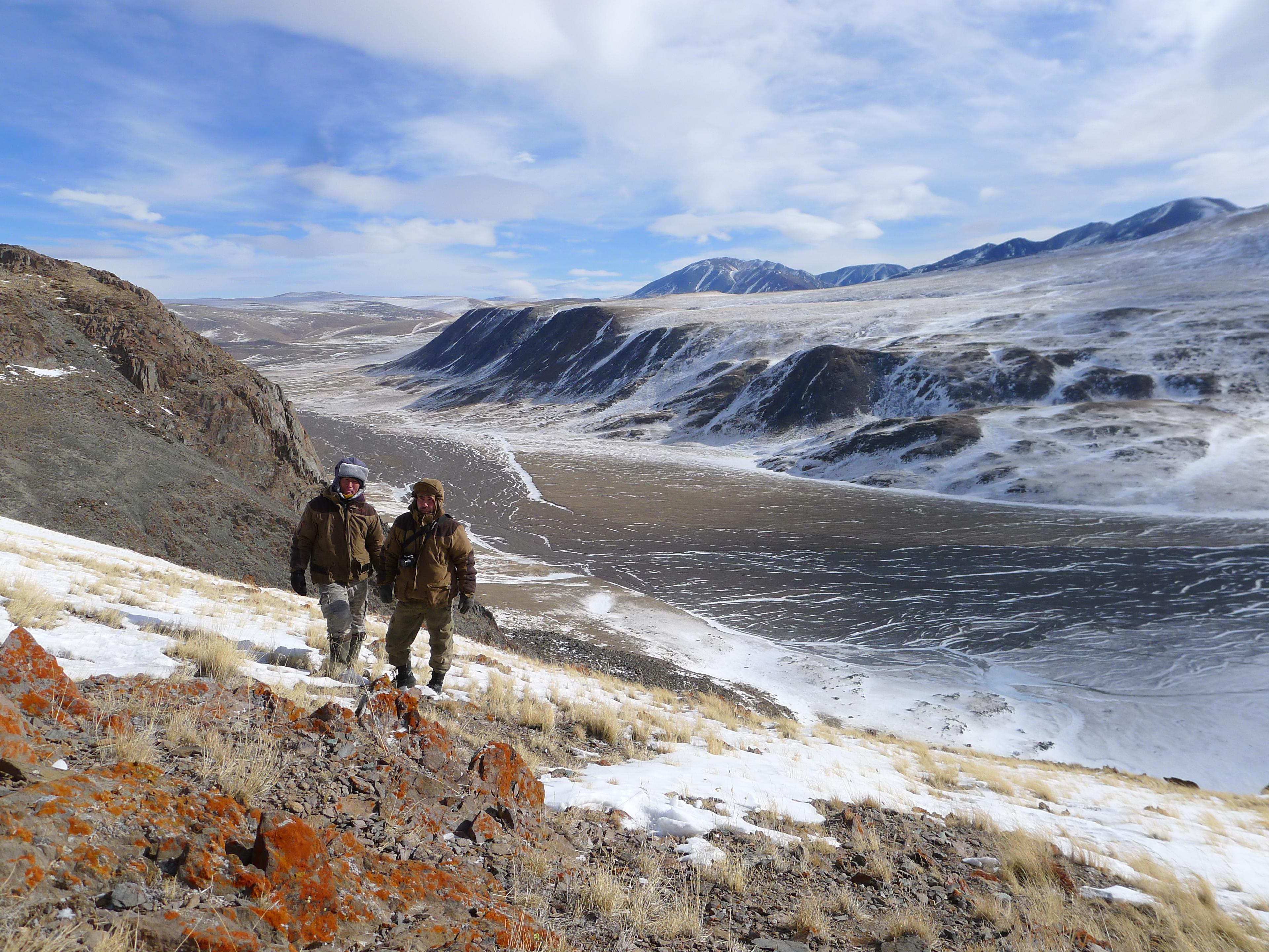 Altai-Sayan