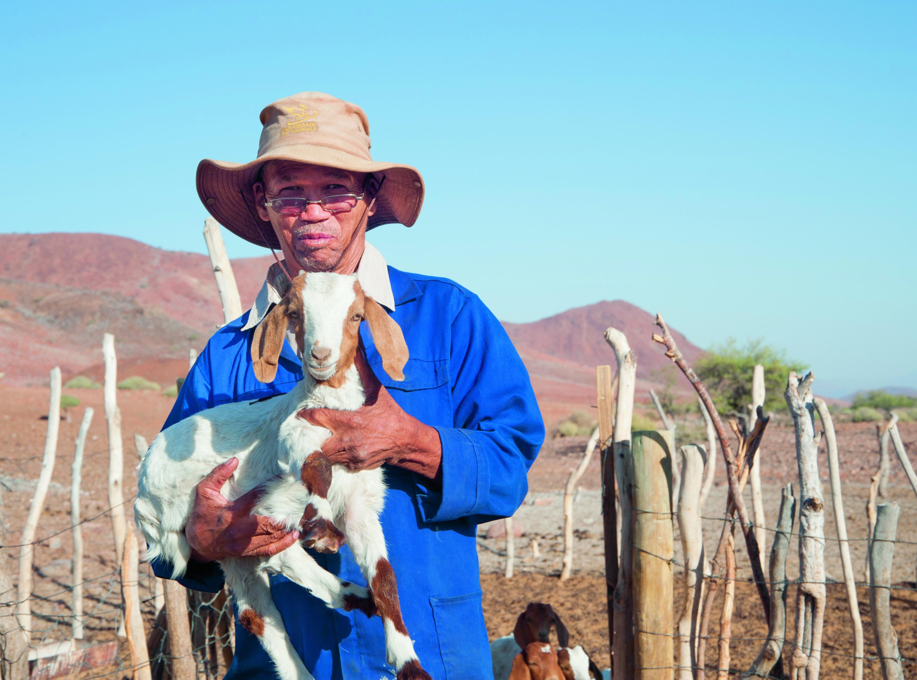Boer Neels Adams tilt een geit op