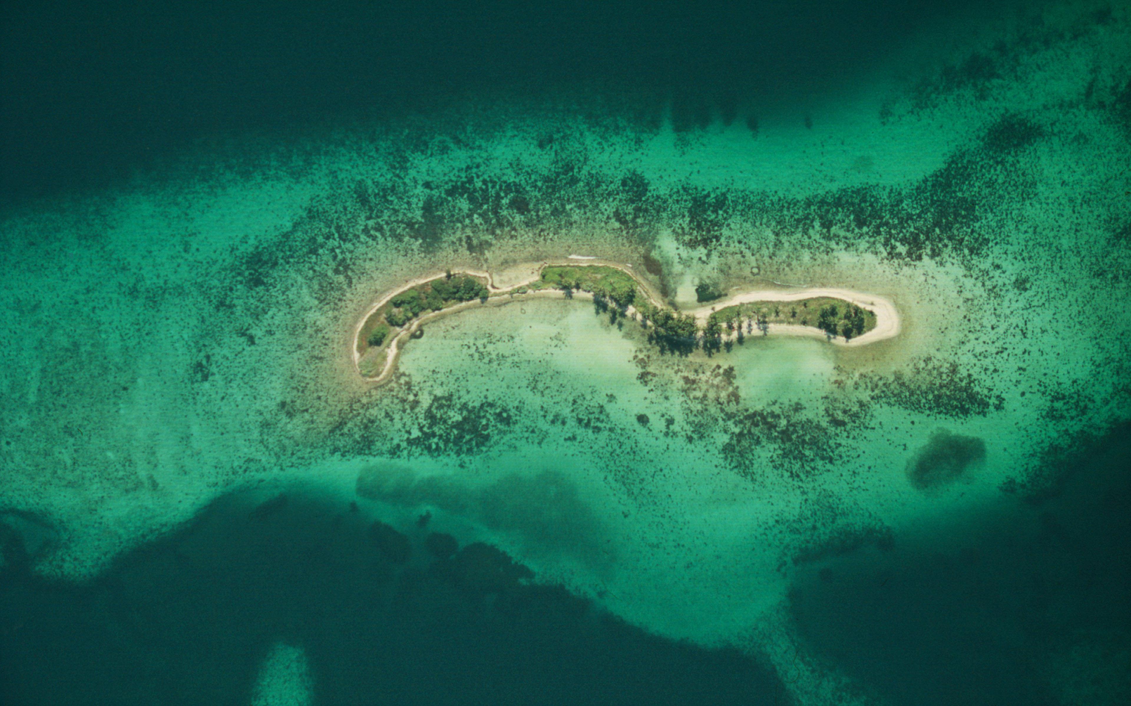 Luchtfoto van koraalrif