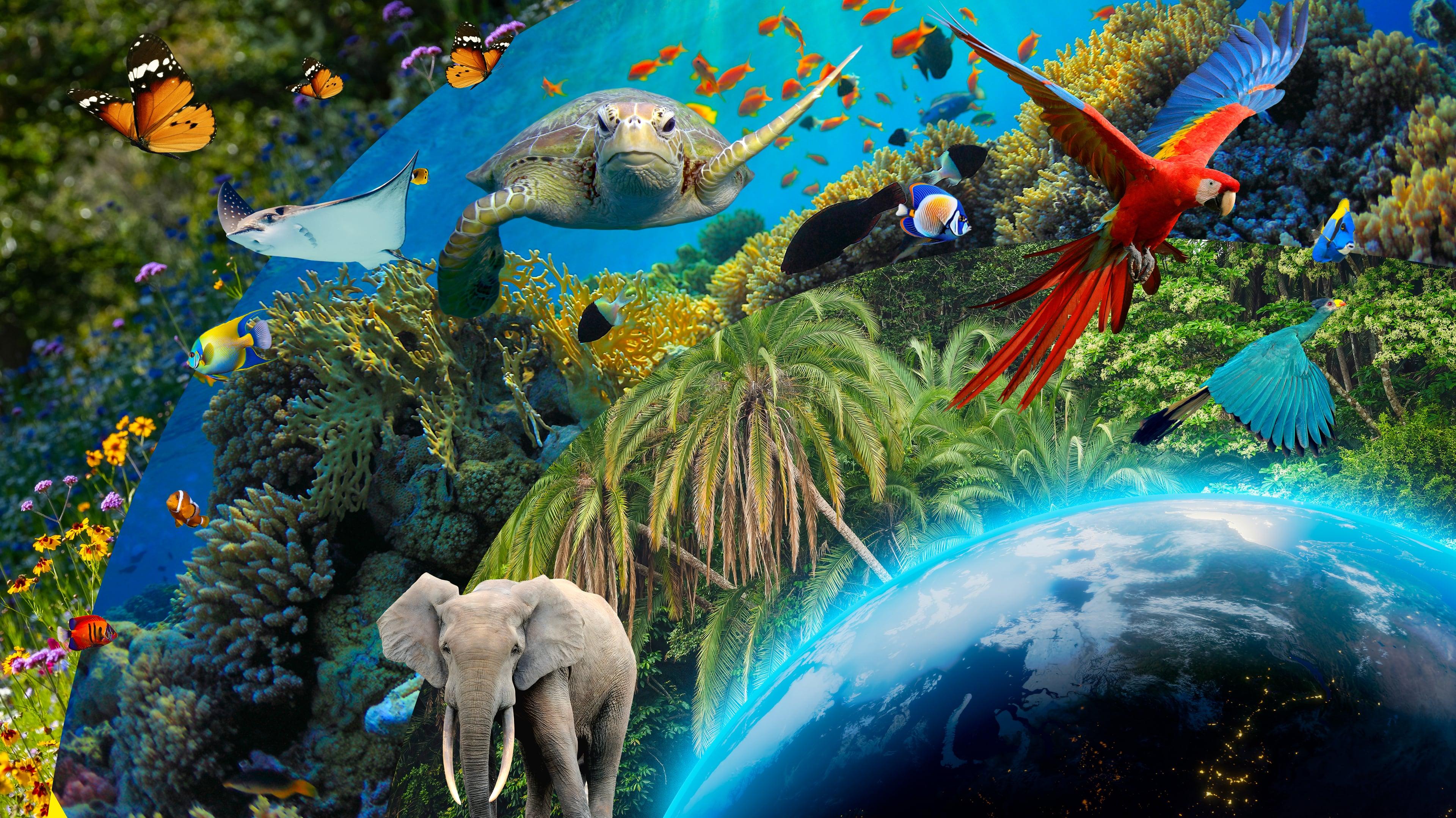 Afbeelding Wereld Natuur Show