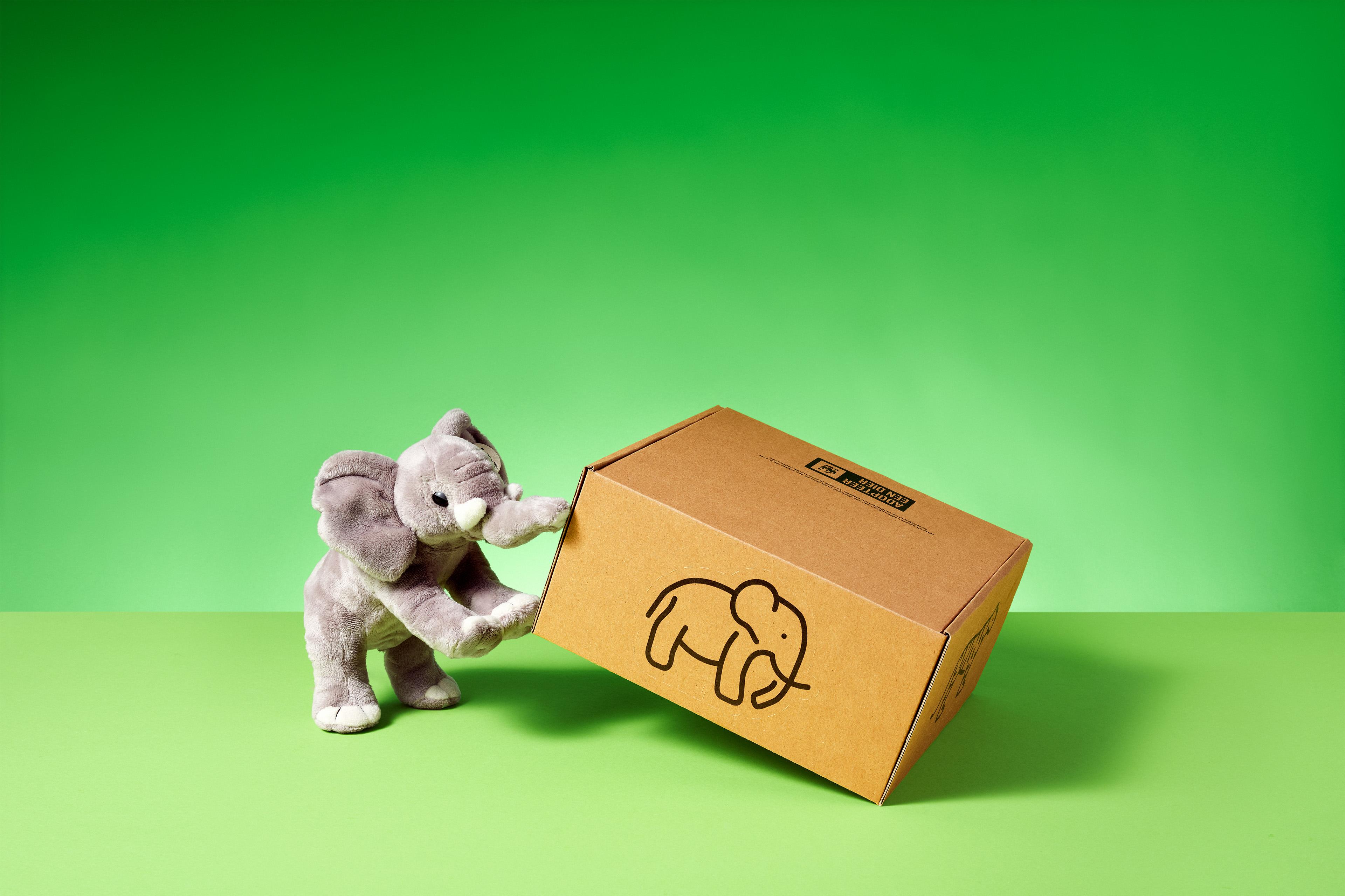 Olifant (tijdelijk zonder knuffel)