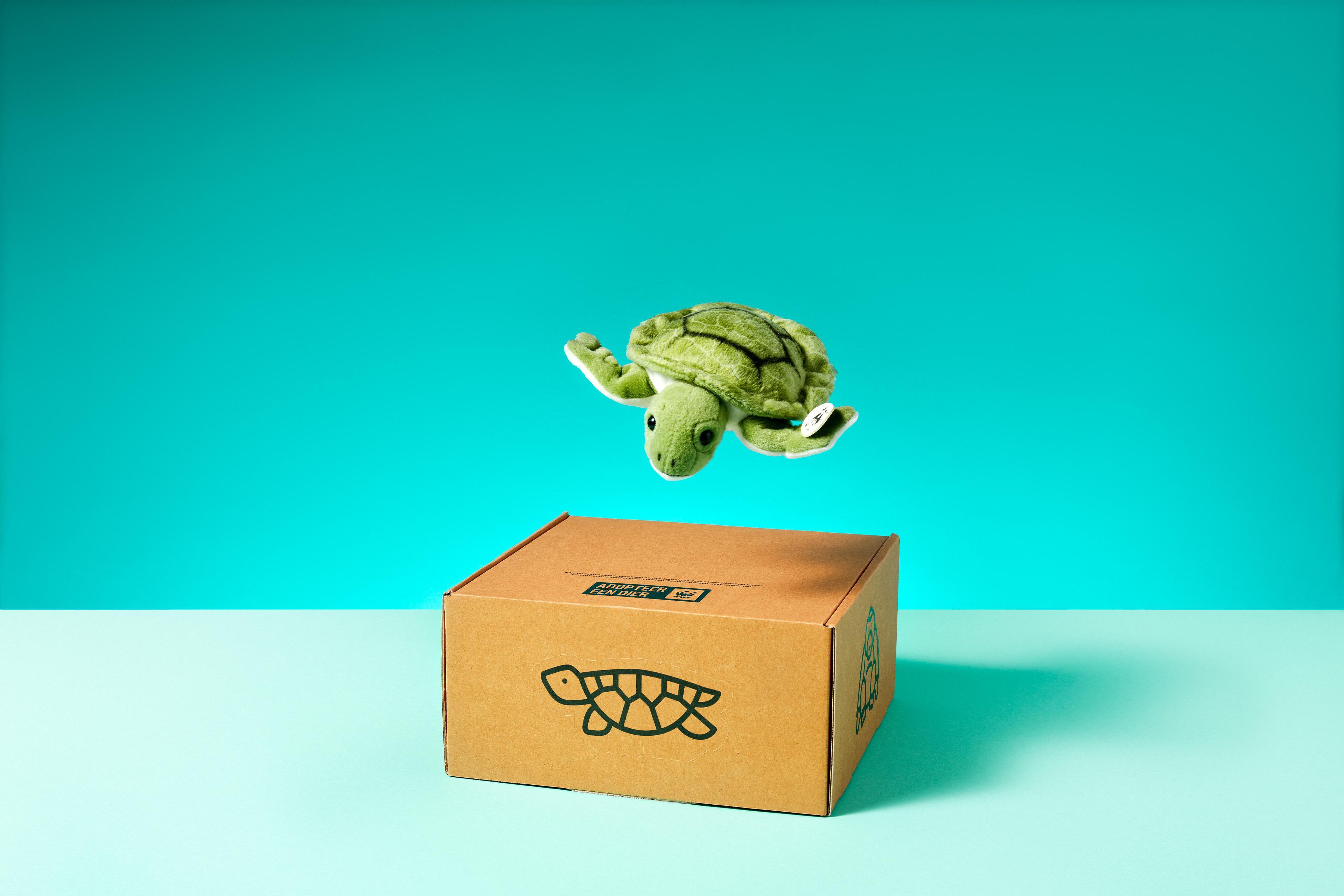 Zeeschildpad