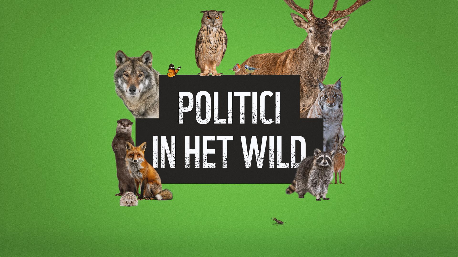 De banner van de Politici in het wild Podcast