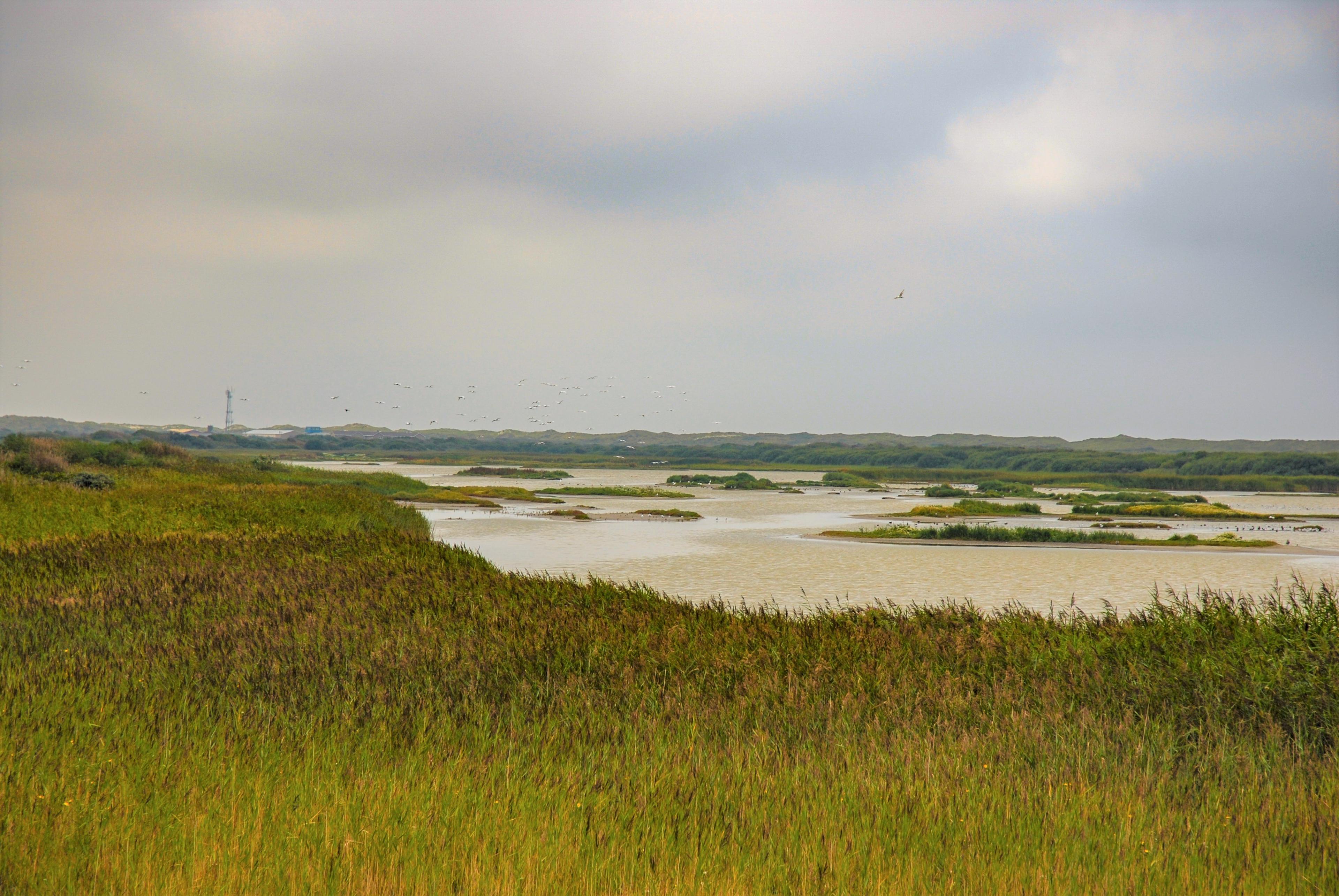 Vlieland