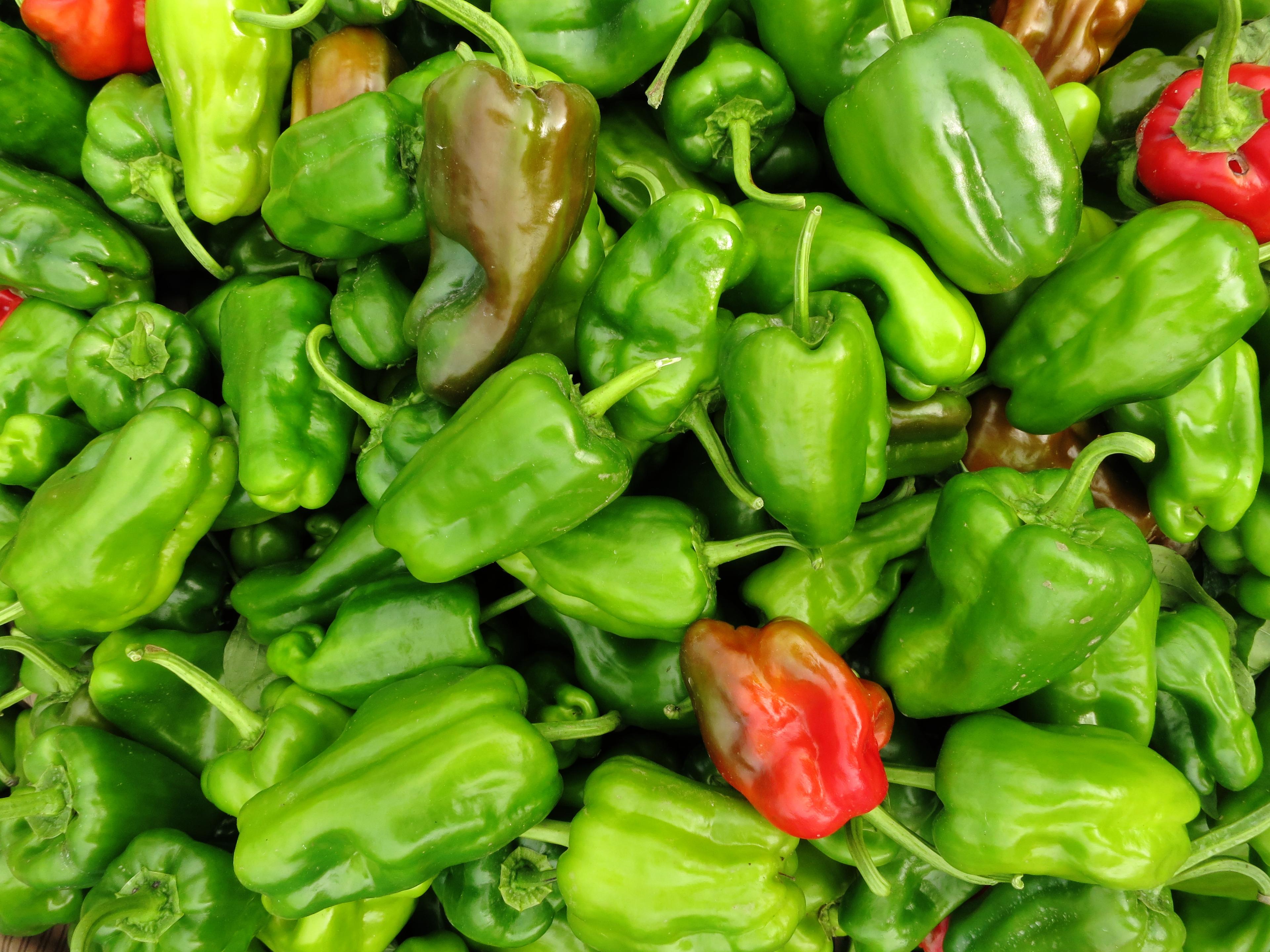 Paprika's