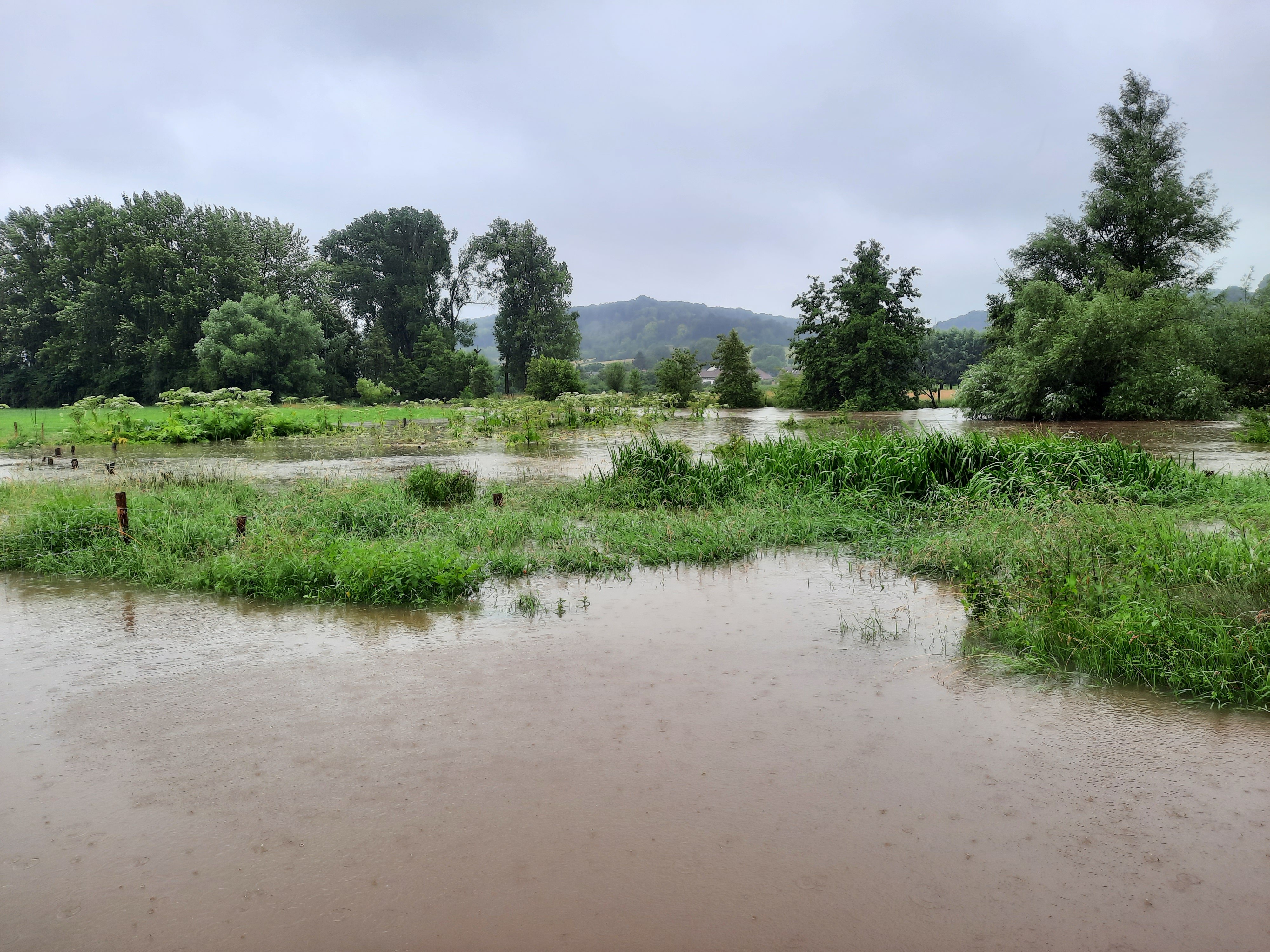 Overstroom weiland geul Limburg