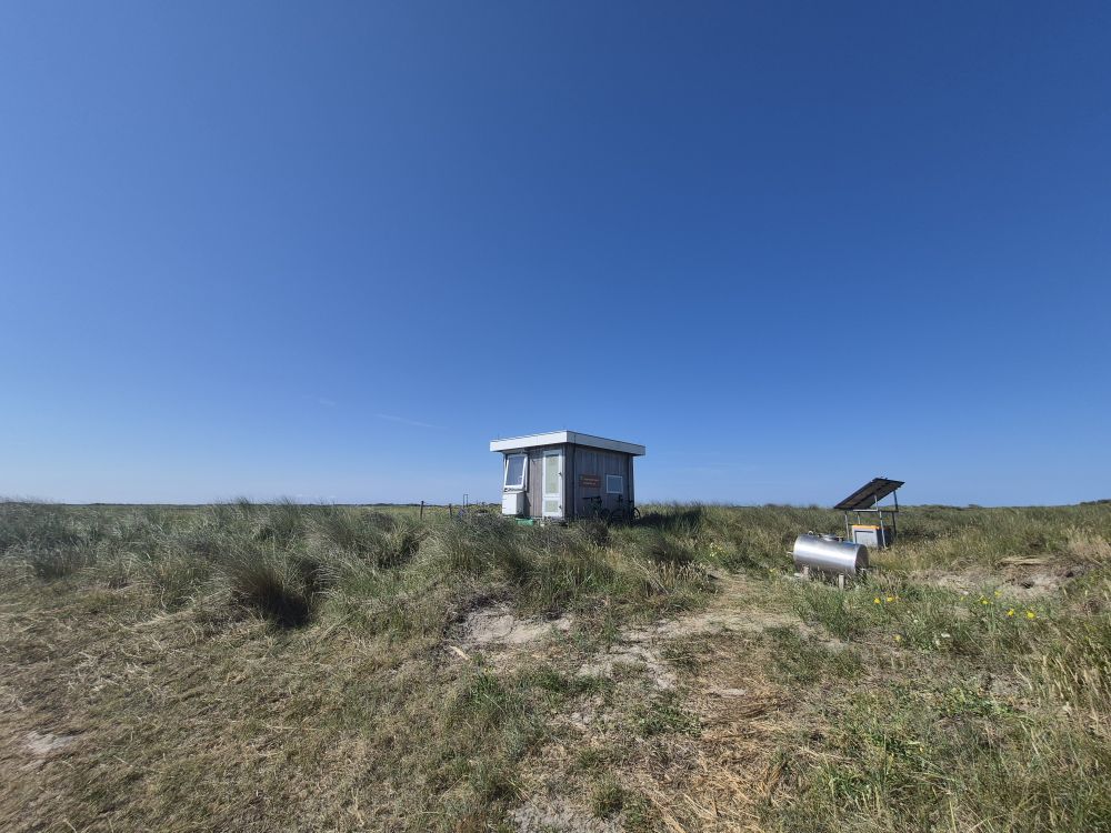 keet op de Boschplaat