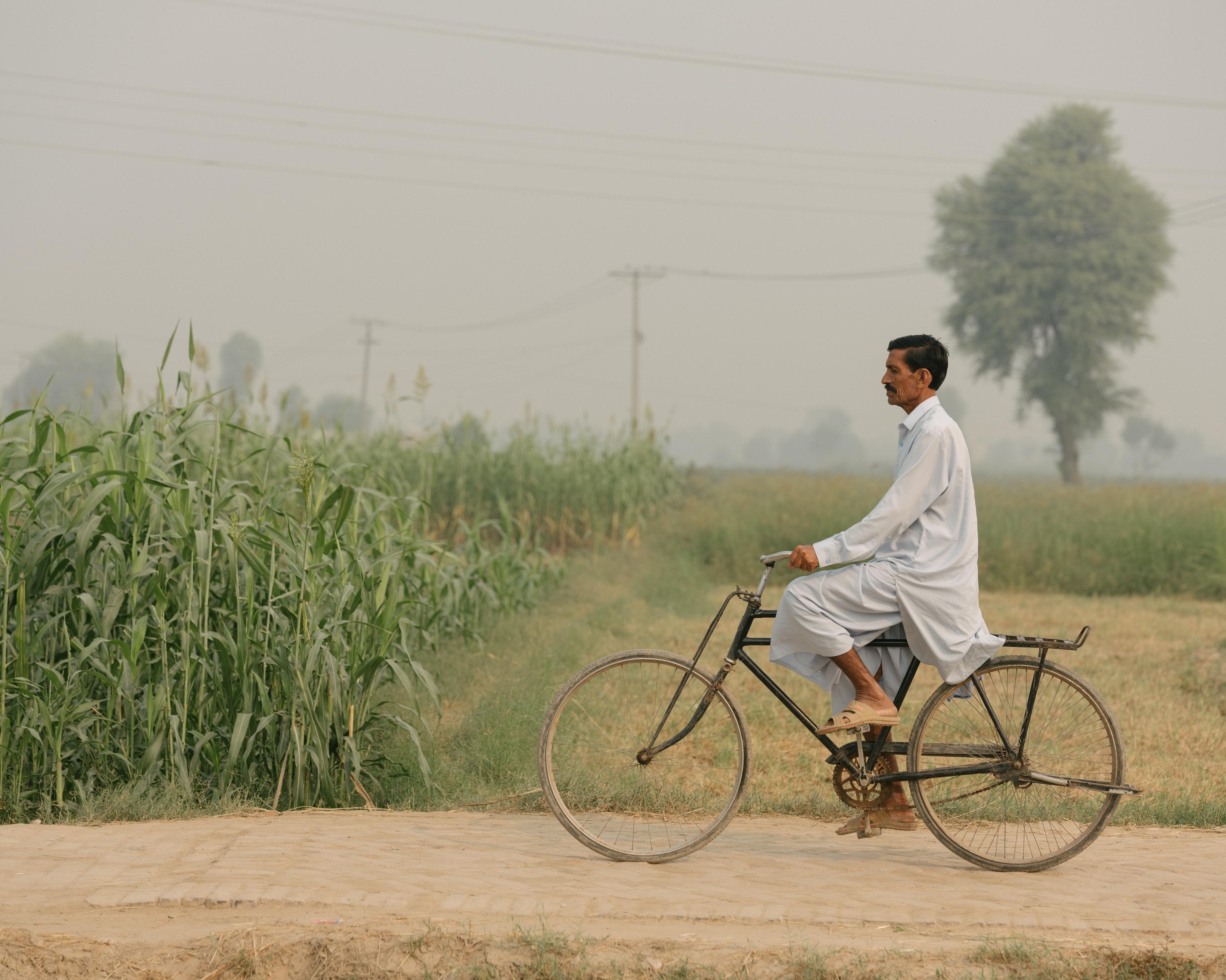 Man op fiets langs veld, Pakistan