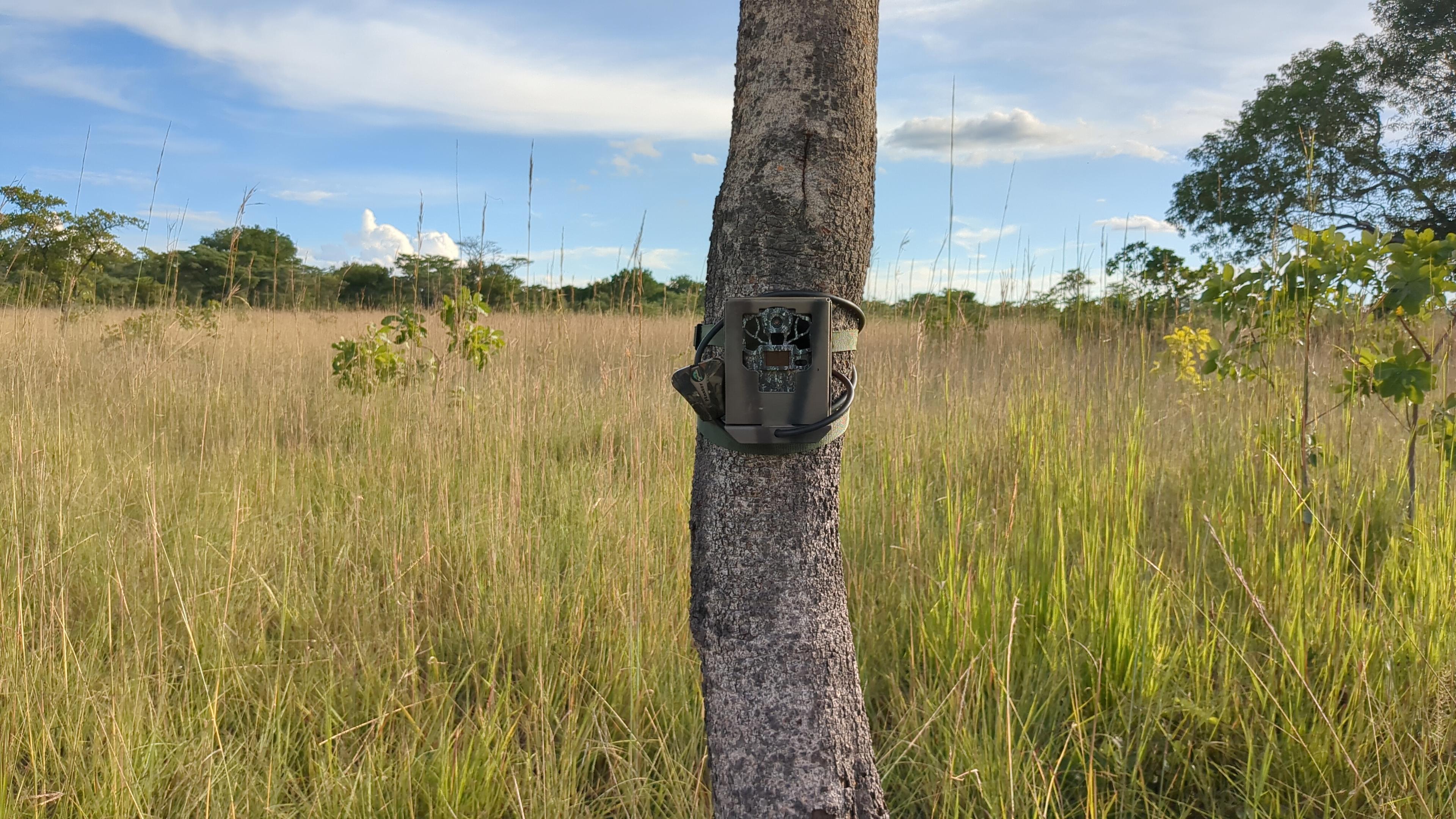 camera