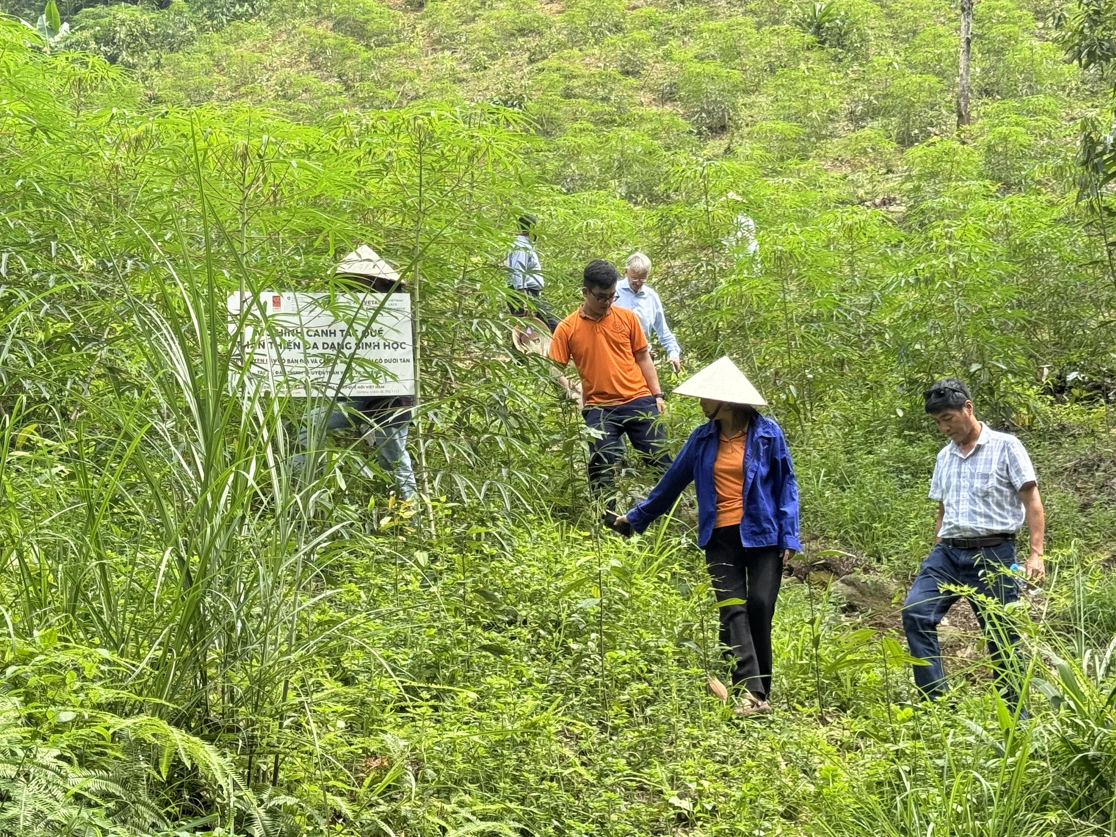 Visiting the Vinasamex project