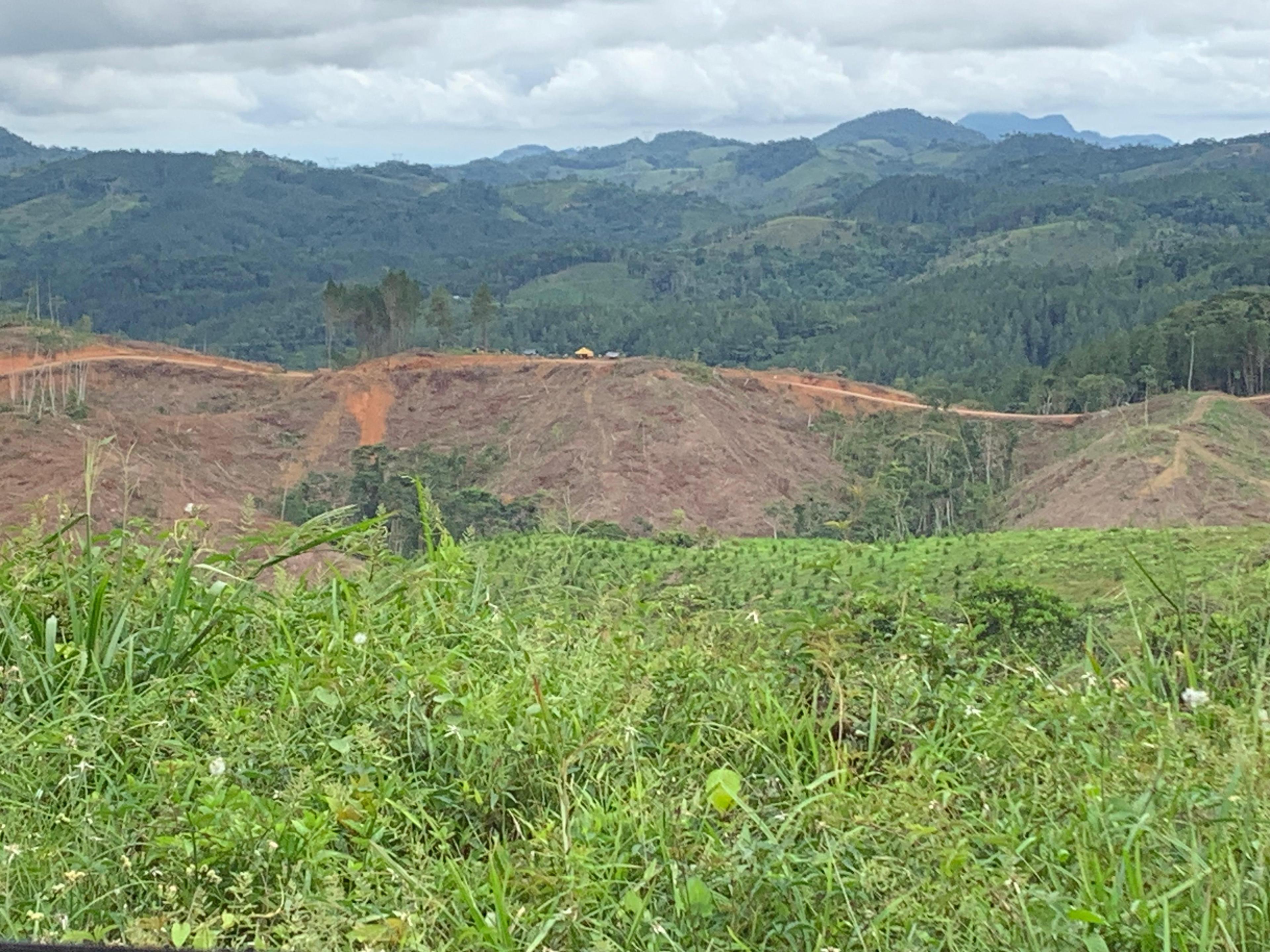 Columbian landscape