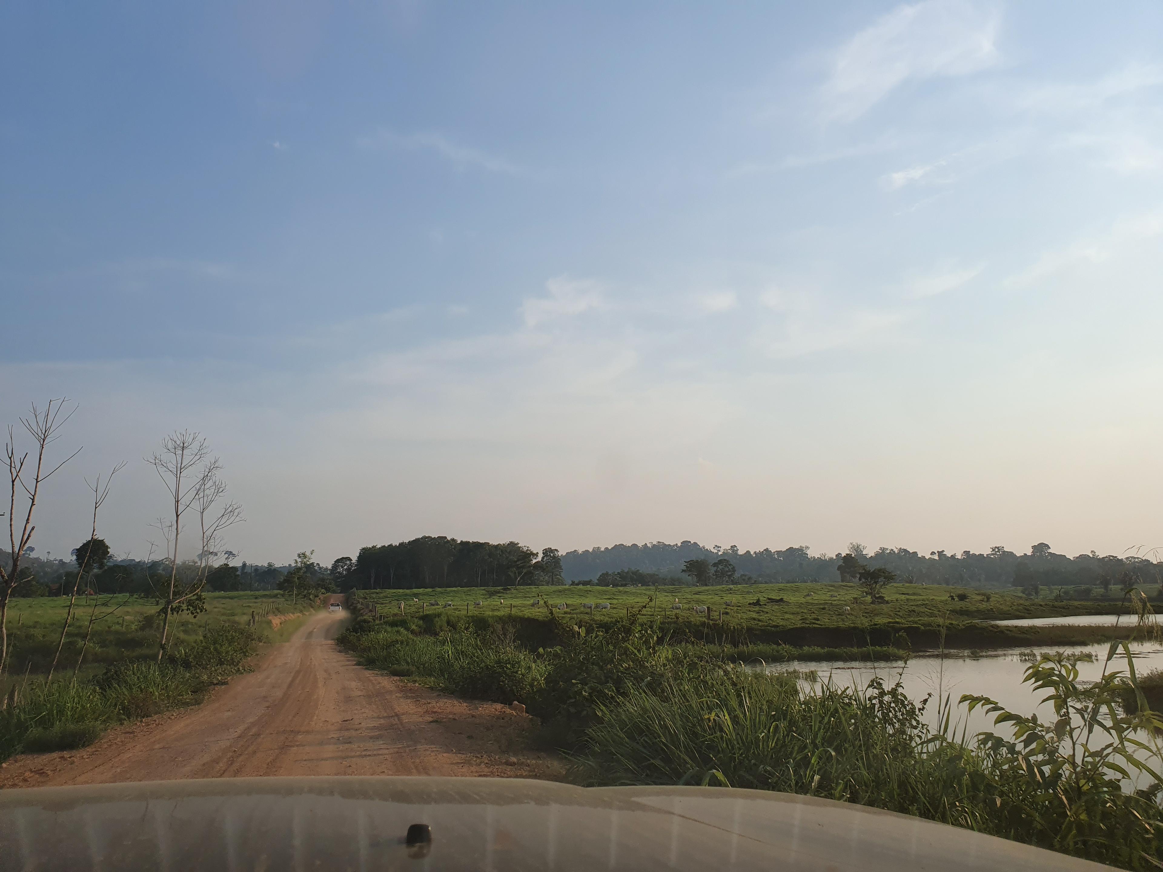 In de auto over een zandweg in de natuur