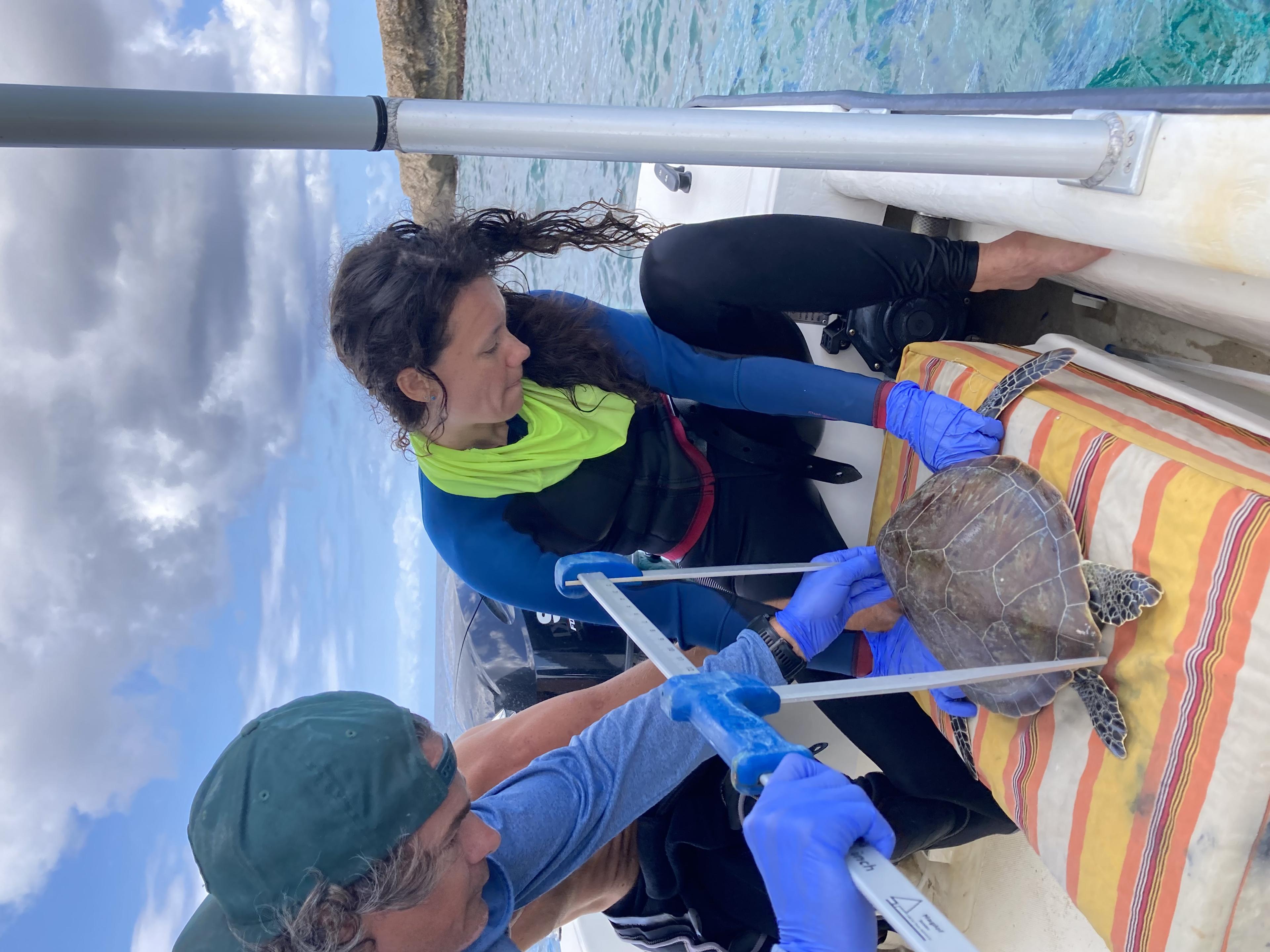 Nathalie Houtman met zeeschildpad in Bonaire