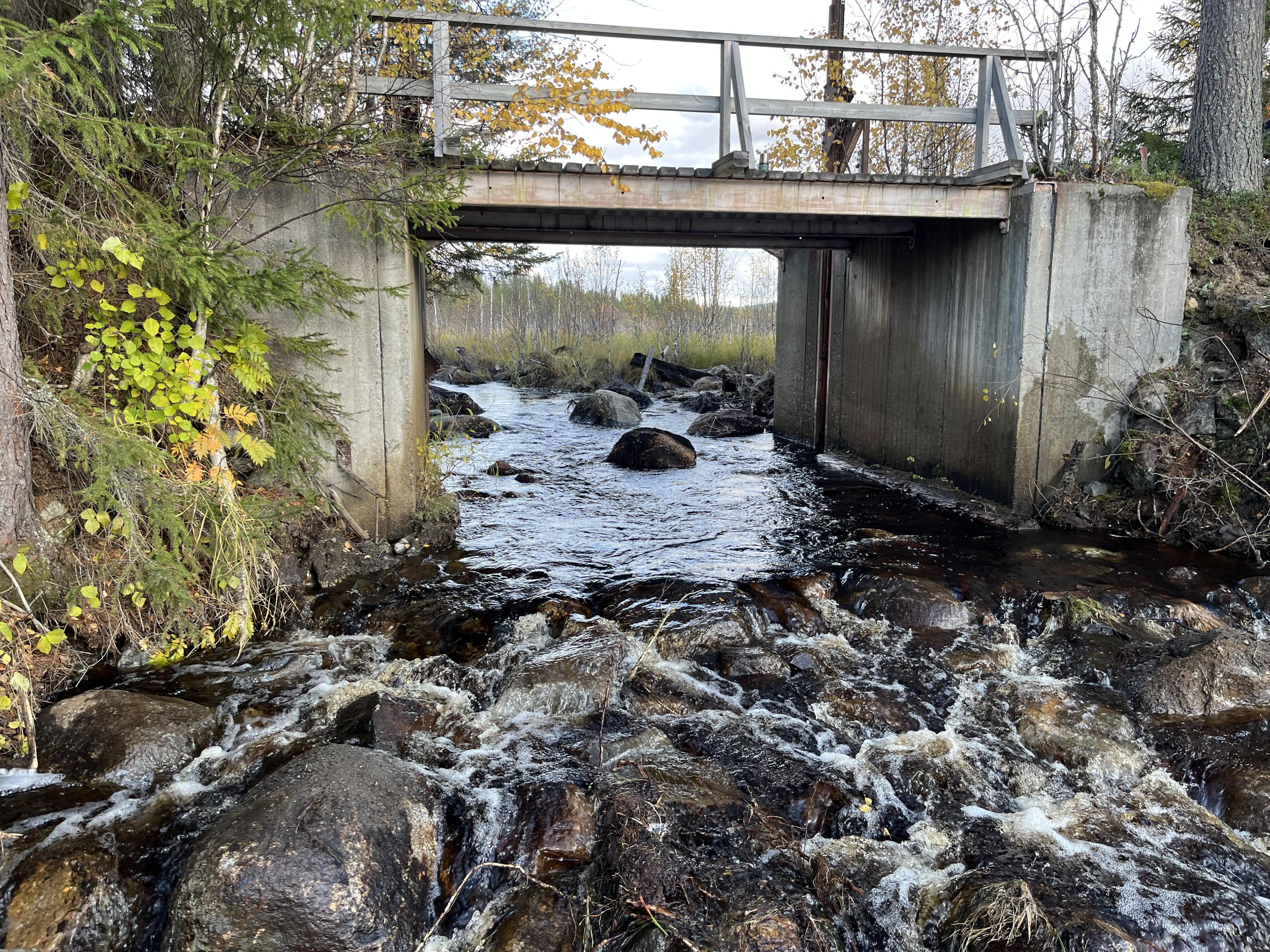 Een rivier na damverwijdering