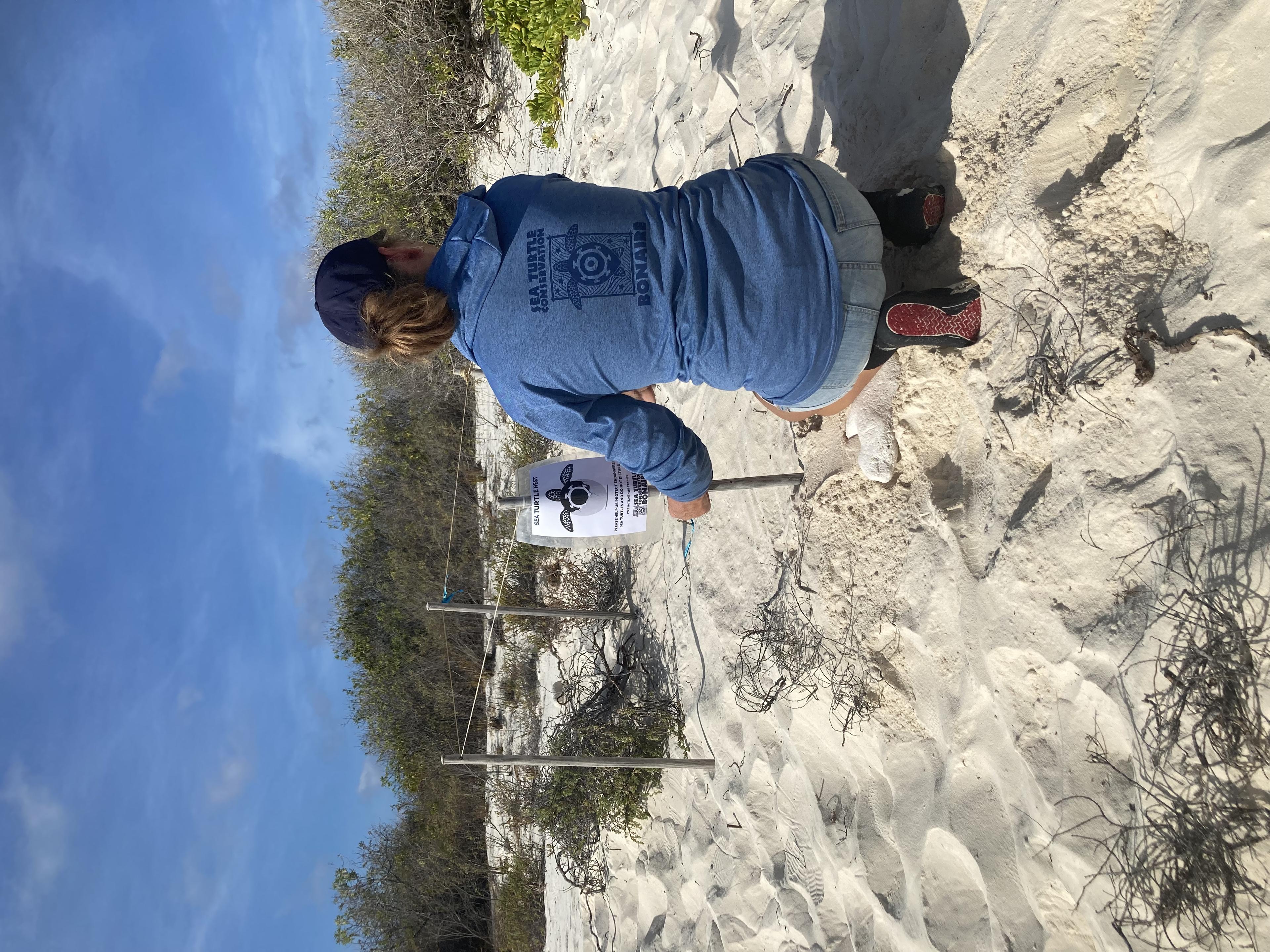 Zeeschildpaddennest in Bonaire