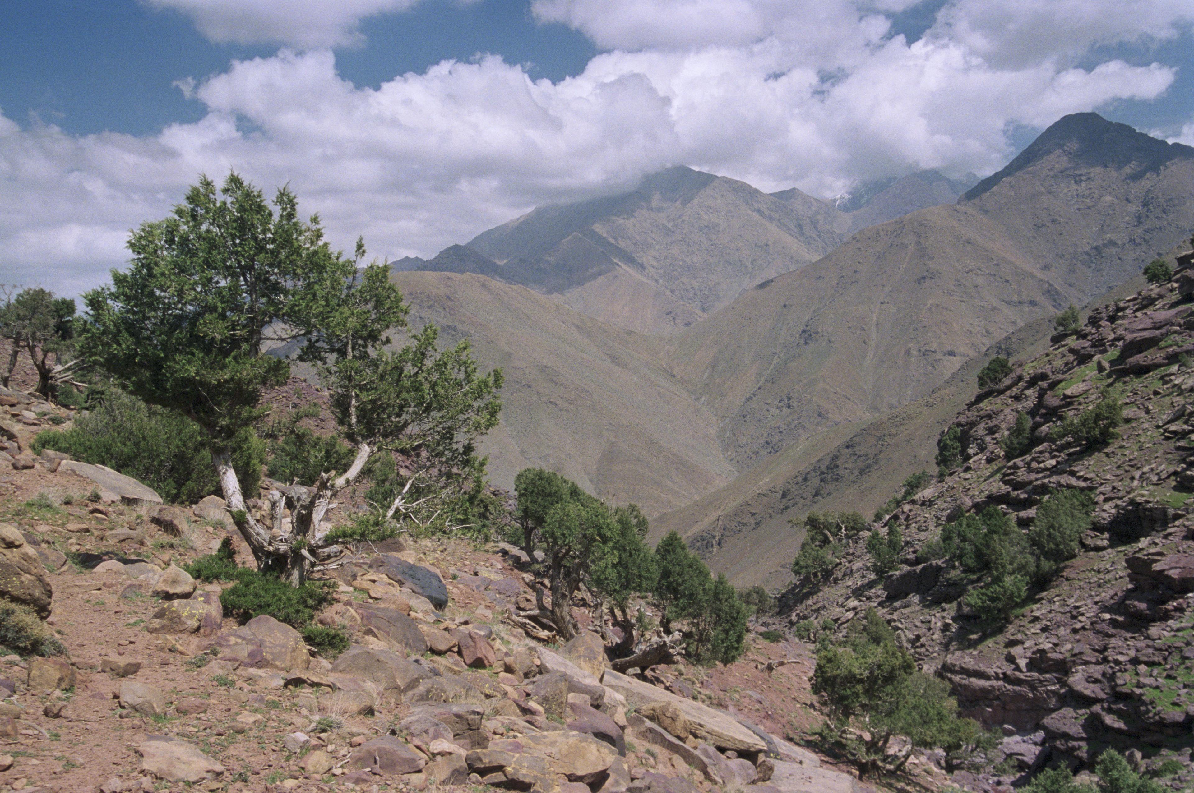 Atlasgebergte in Marokko
